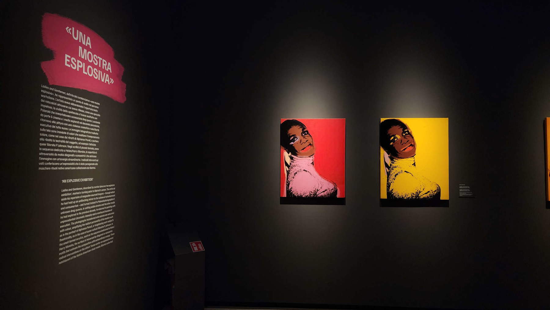 Montaje de la exposición «Andy Warhol. Ladies and Gentlemen»