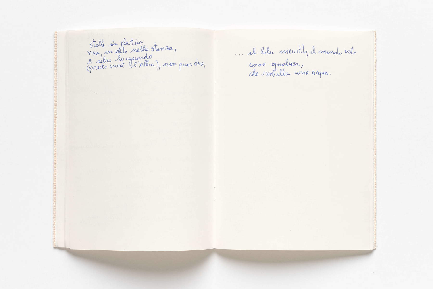 Nina Carini, Auszug aus dem Tagebuch (2021)