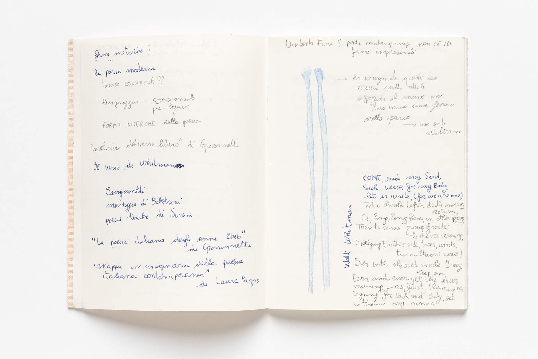 Nina Carini, Auszug aus dem Tagebuch (2022; Vorzeichnung für das Werk „Hände wie Äste, die den Himmel berühren“)
