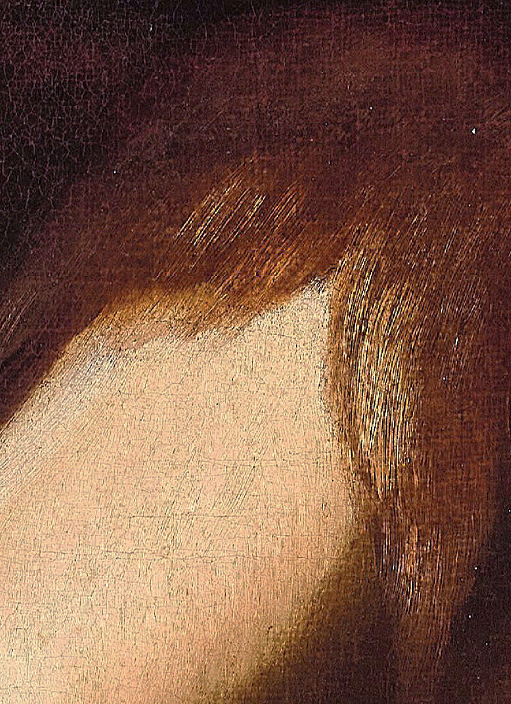 Die zerfetzten Fetzen des Pelzes, den der kleine Johannes trägt, sind nur mit etwas Bleiweiß gemalt, das mit einem trockenen Pinsel aufgetragen wurde; der Rest wird teilweise der Grundierung der Leinwand überlassen, deren Webstruktur deutlich hervortritt.