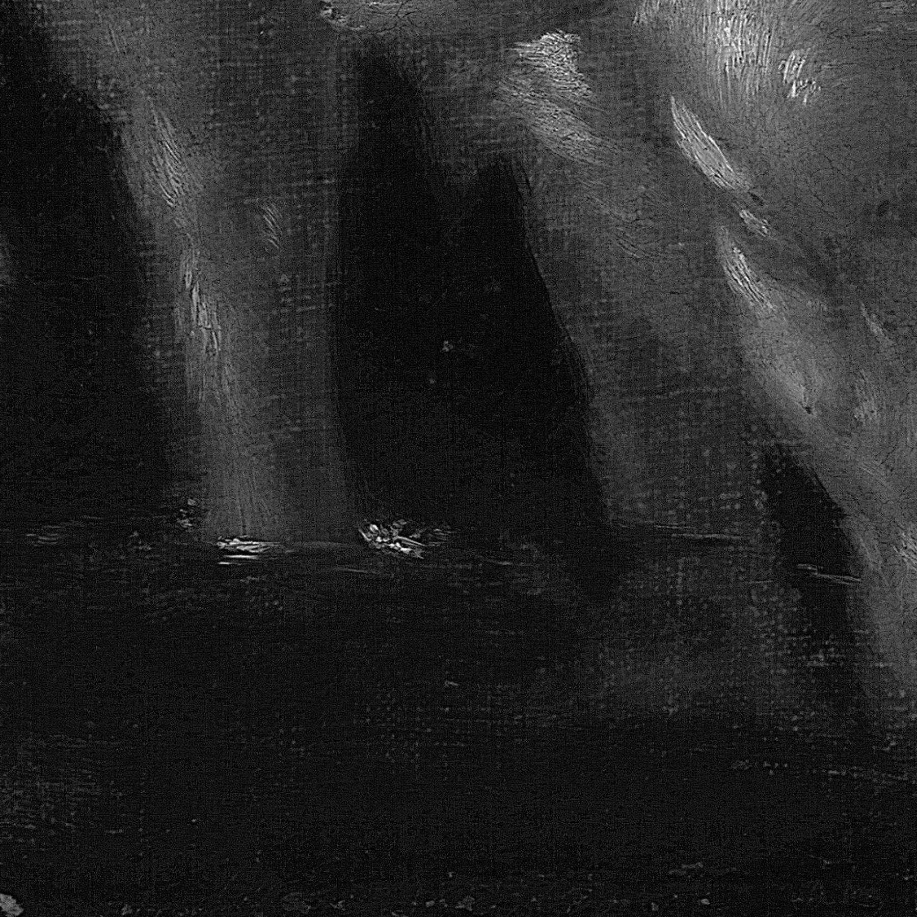 Die Laubpflanze zwischen dem Bein des San Giovannino und dem Schaf ist bei natürlichem Licht in der Kopie deutlich zu erkennen, die sich bereits in Rom bei Francesco Romano befand und heute in Turin in einer Privatsammlung ist; sie wurde wahrscheinlich vor den anderen angefertigt, als sie offensichtlich noch sichtbar und durch den Farbverfall noch nicht verdunkelt war. Eine ähnliche Pflanze ist unter den Beinen des San Giovannino in anderen von Caravaggio geschaffenen Versionen zu sehen, wie beispielsweise in dem Gemälde, das ihn in der Pinacoteca der Kapitolinischen Museen in Umarmung mit einem Widder zeigt, in dem Exemplar im Nelson-Atkins-Museum of Art in Kansas City und in dem der Galleria Borghese in Rom. Möglicherweise könnte es sich um ein unbekanntes hagiografisches Attribut handeln, das sich auf den Vorläufer des Heiligen bezieht.