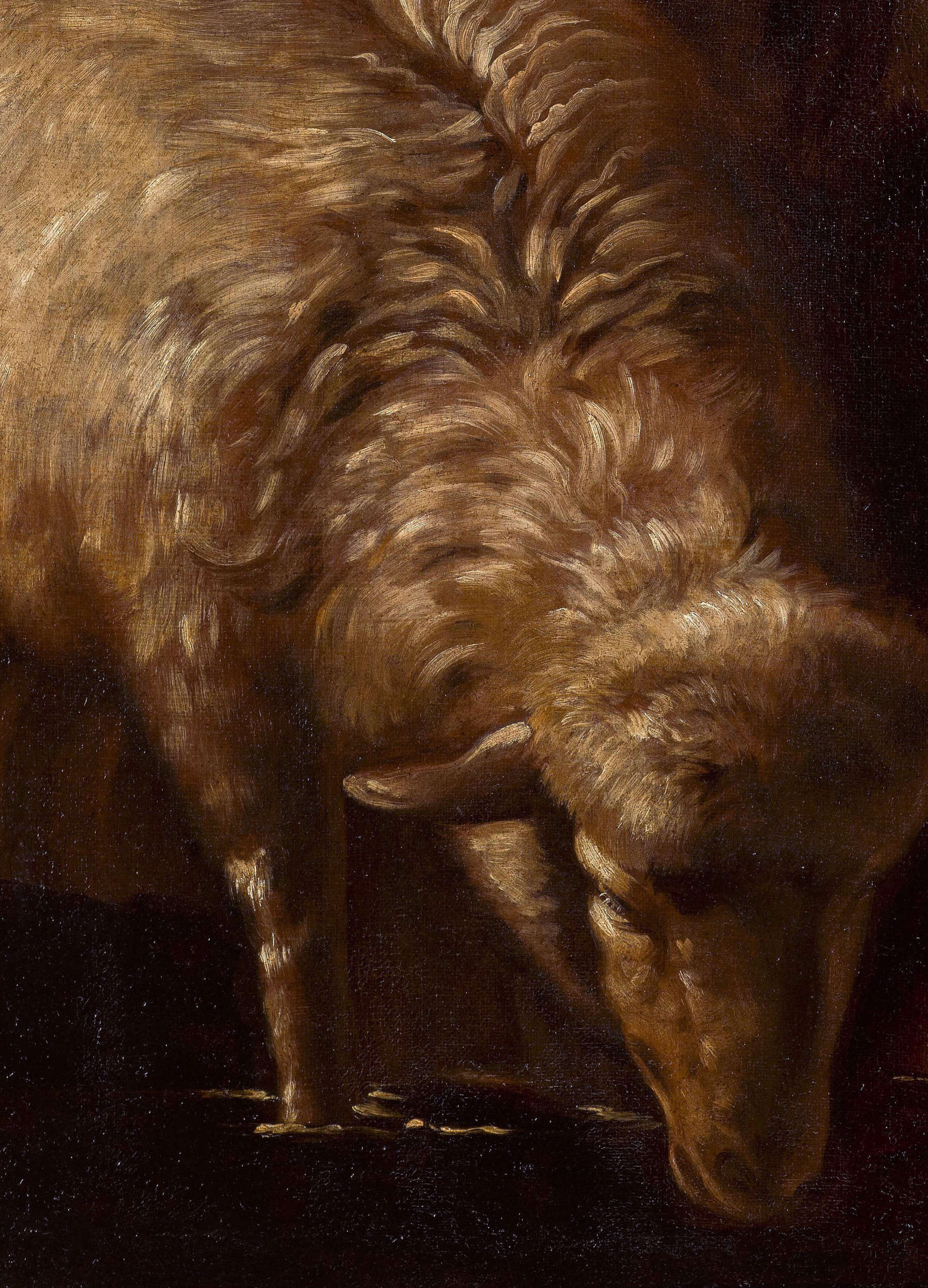 Bei dem von Sotheby’s verkauften Exemplar und bei allen anderen bekannten Exemplaren ist das Fell sowohl in den hellen als auch in den dunklen Bereichen sorgfältig gemalt