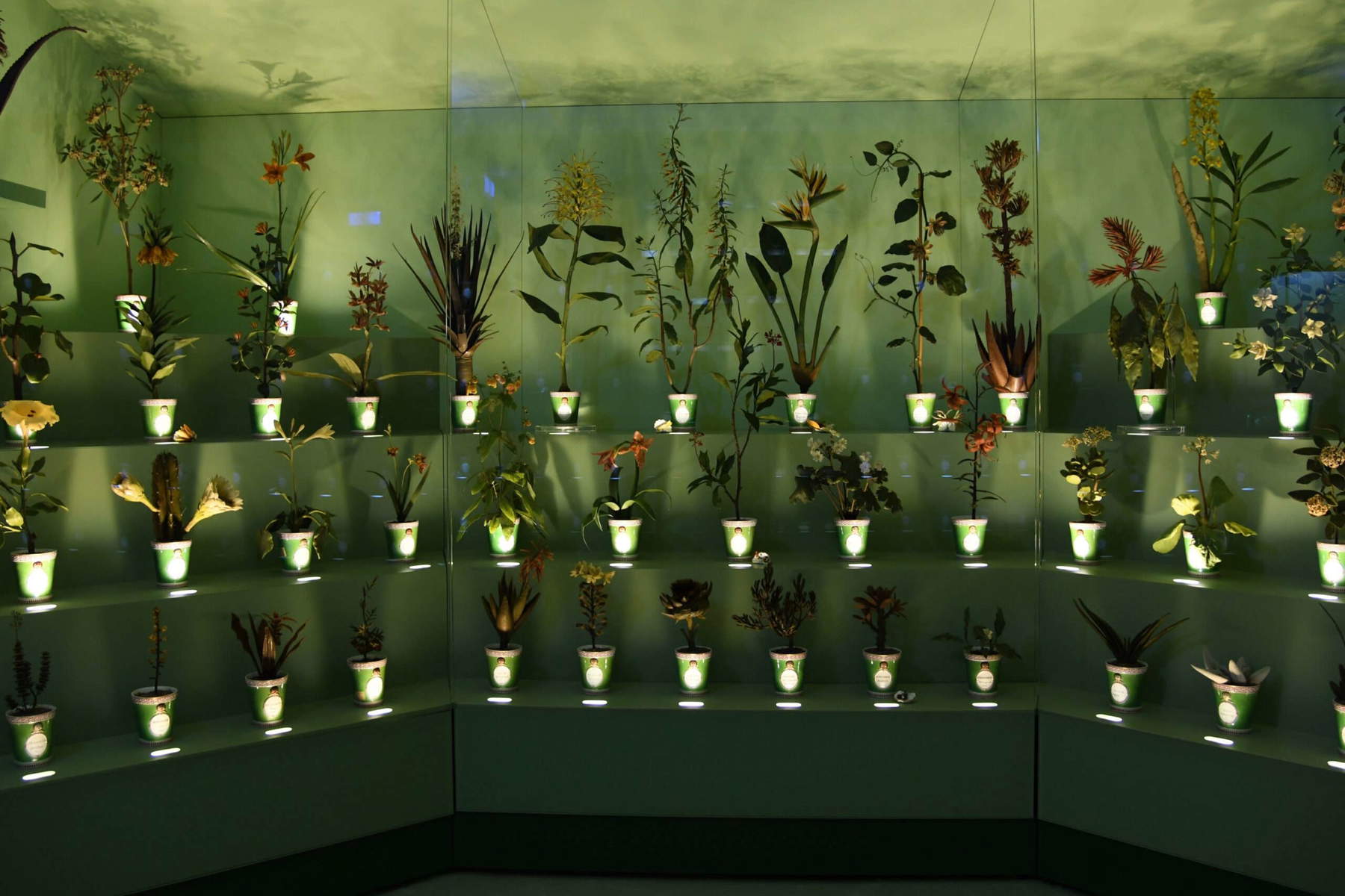 Cere botaniche alla Specola di Firenze. Foto: Toscana Promozione Turistica