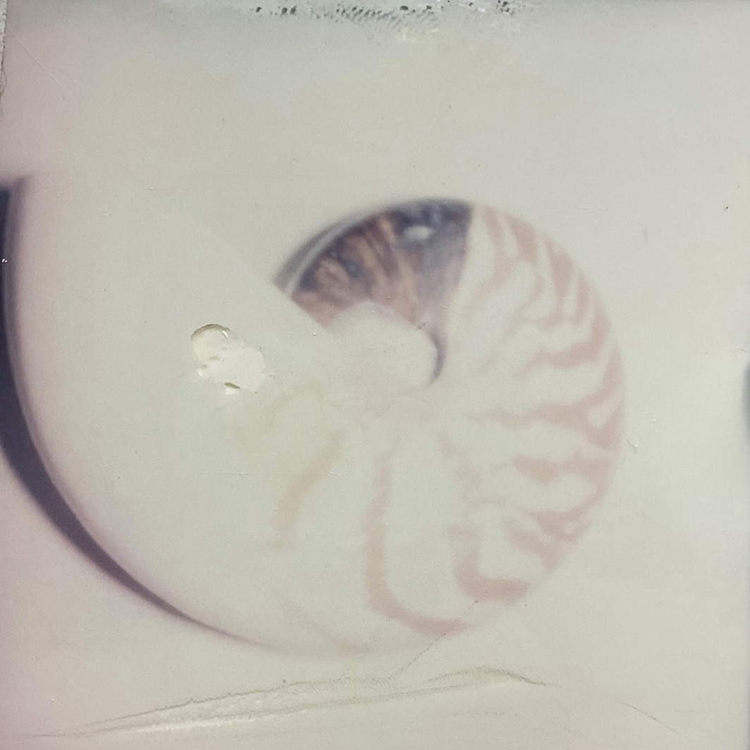 Sofia Bersanelli, „Verdrängtes Verlangen“, aus der Serie „Schnee in der Sonne“ (2020–2025; bearbeitetes Polaroid, ca. 8 × 8,8 cm)