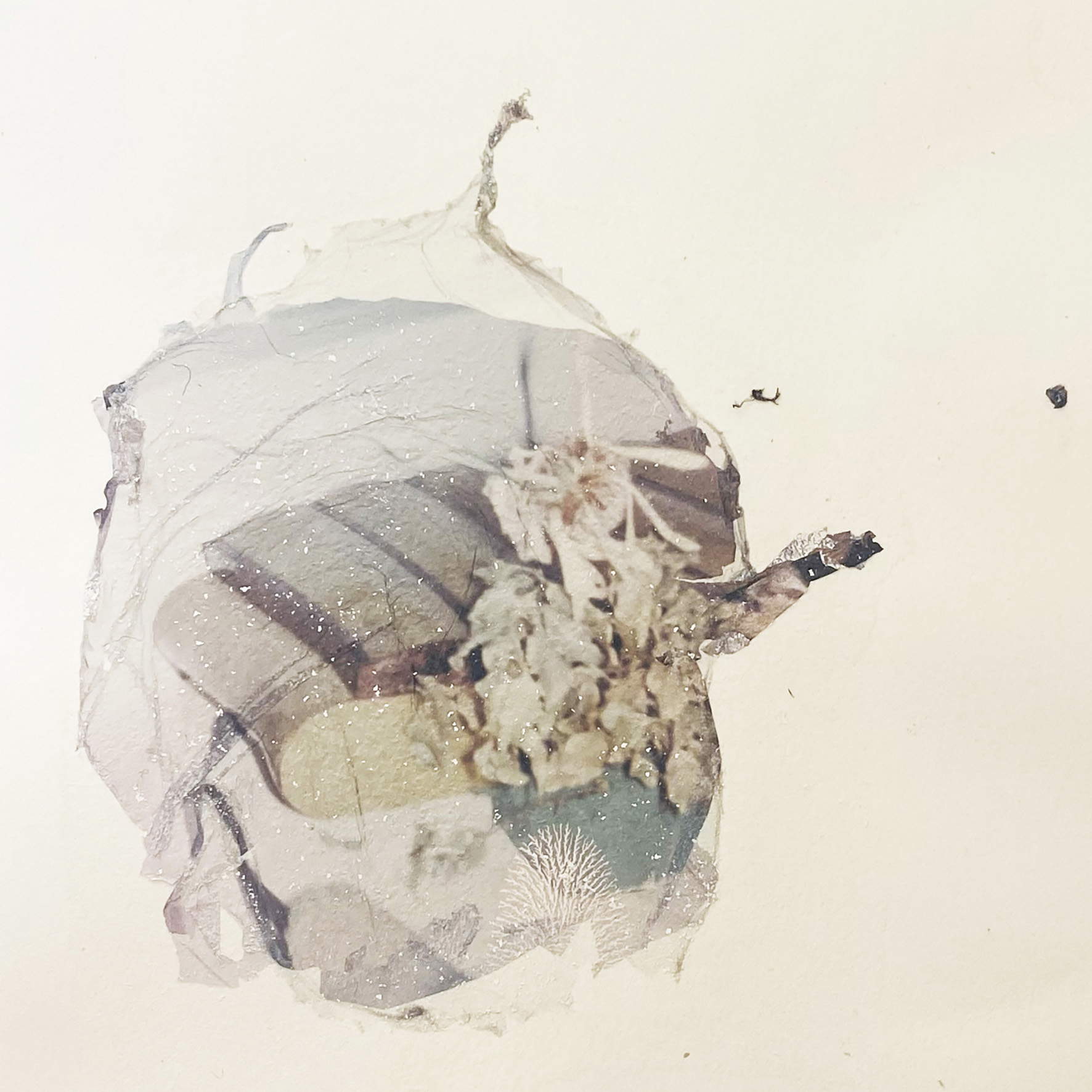 Sofia Bersanelli, Detail: „La stigmate avanza“, aus der Serie „Sotto-pelle“ (2019–2026; bearbeitetes, aufgeschlagenes Polaroid, auf einem Papierträger von ca. 21 x 29,7 cm)