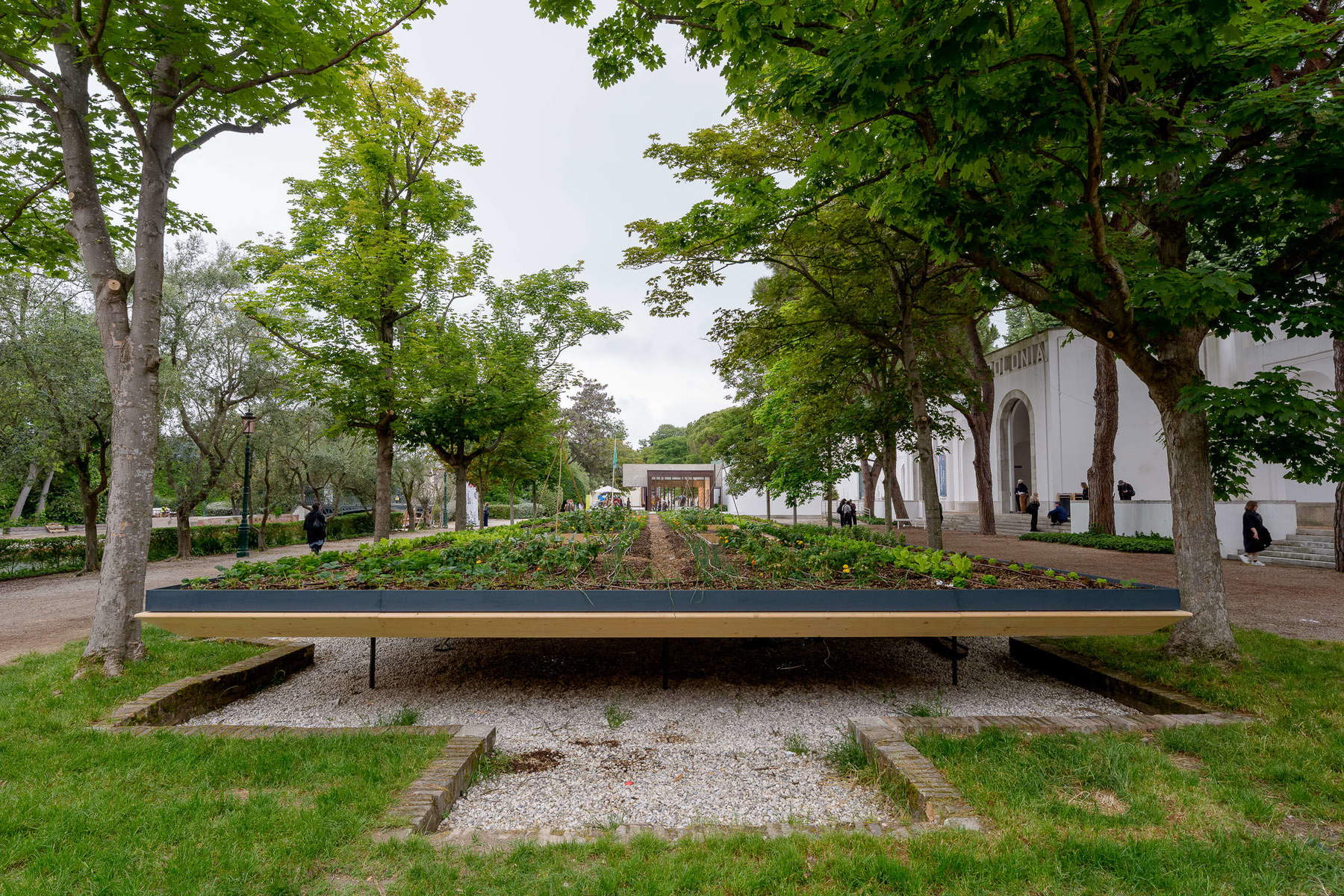 Linda Goode Bryant, Site-specific outdoor garden (2026; installation, 150 &times; 800 &times; 3,500 cm). Photo: Andrea Avezz&ugrave;