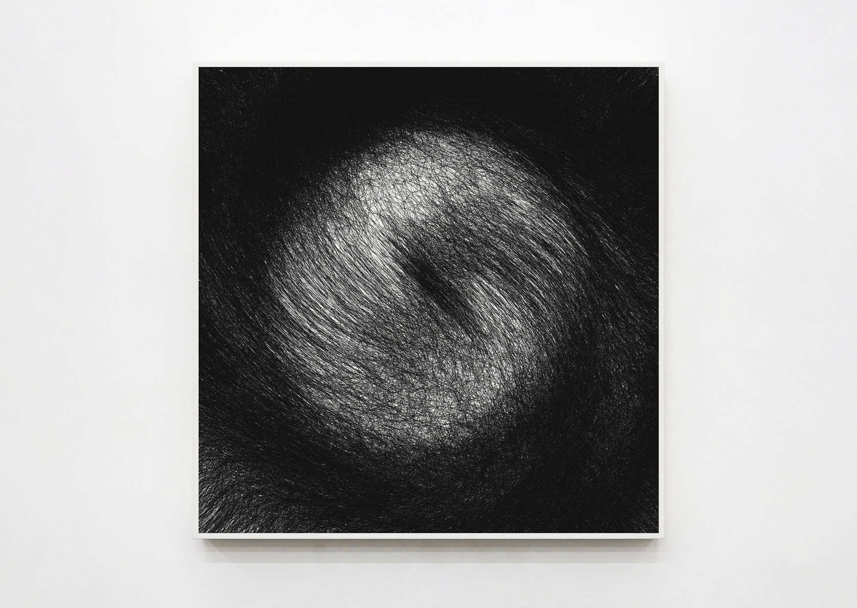 Donald de Decker, Aa #097