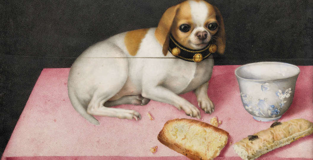 Il gabinetto delle meraviglie di Giovanna Garzoni: frutta, porcellana e miniature
