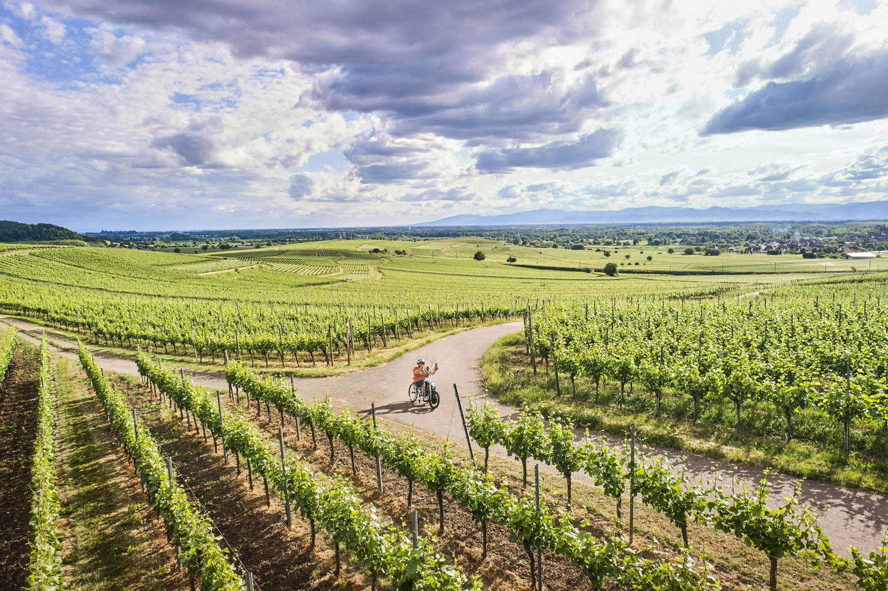 Vogtsburg, vignobles de la Forêt-Noire. Photo : Office national allemand du tourisme / Jens Wegener