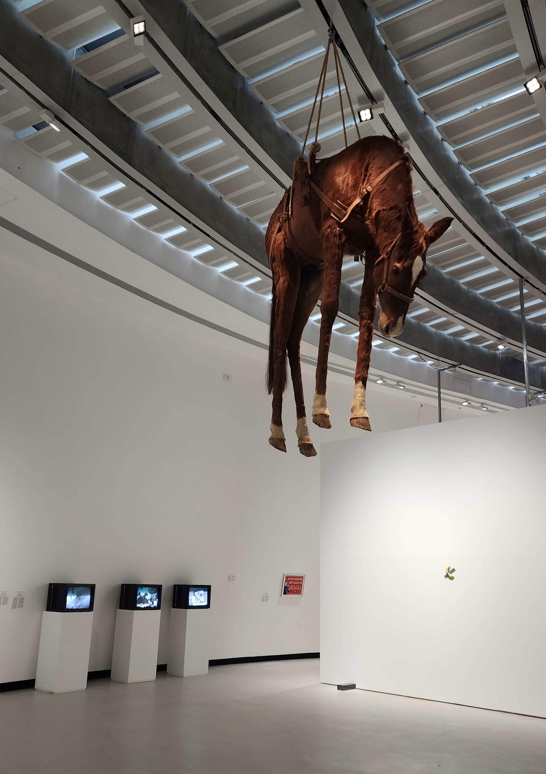 Exhibition design for the 