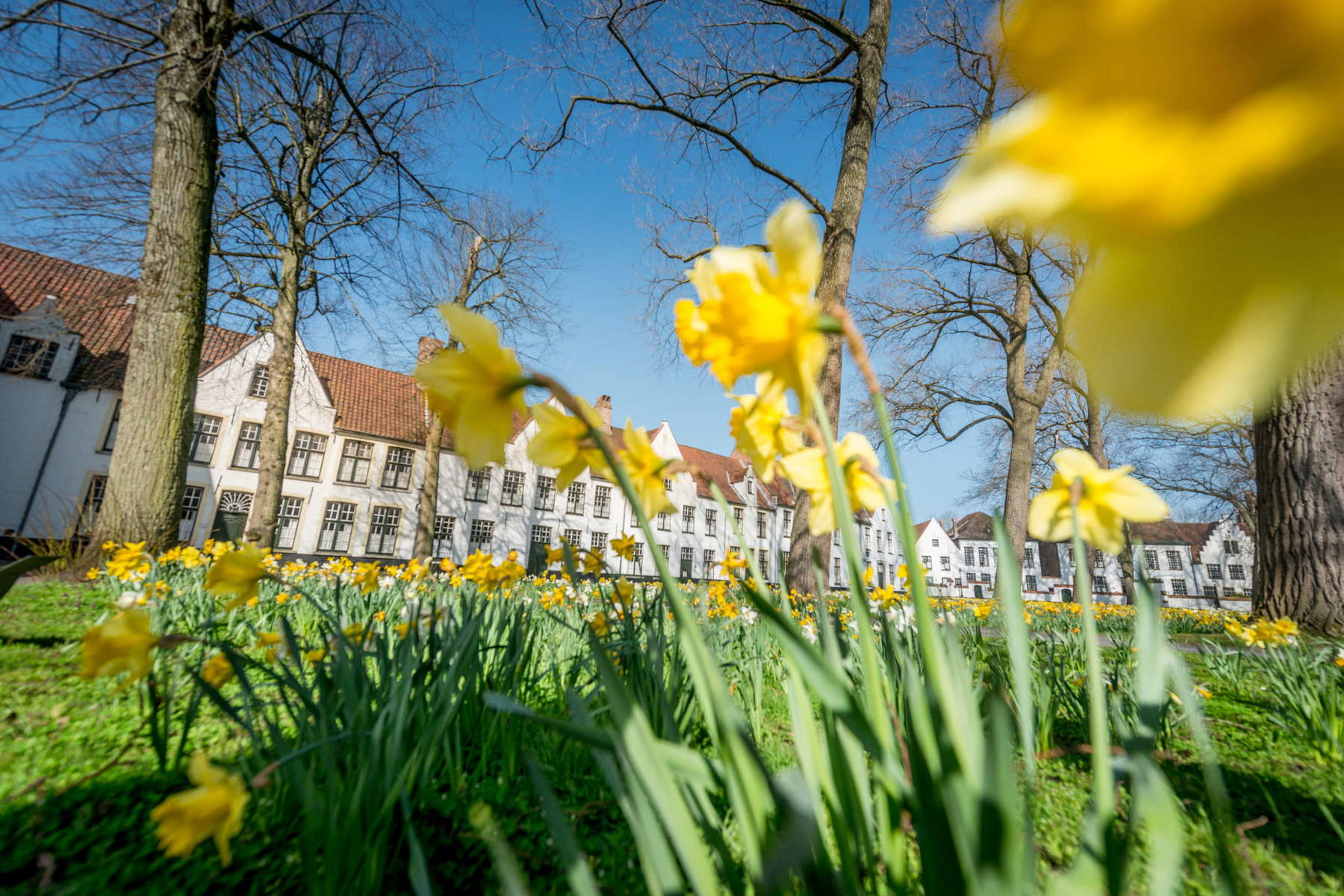 Bruges, Begijnhof. Foto: Visit Bruges / Jan Darthet