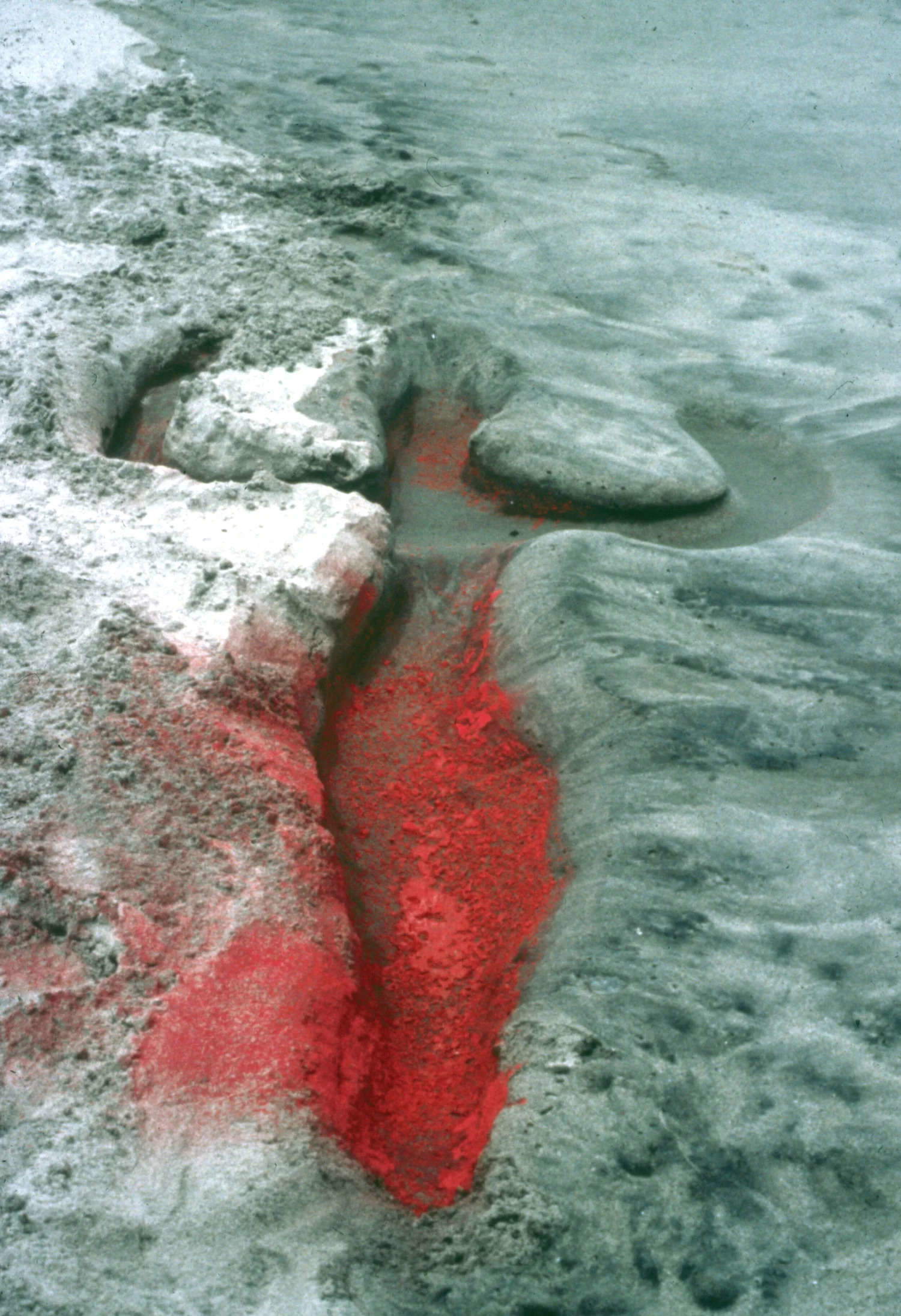 Ana Mendieta, „Silueta“-Serie (1973–1980; Performance/fotografische Dokumentation, verschiedene Materialien: Schlamm, Erde, Blut, Pflanzen; Sammlung Galerie Lelong &amp; Co). Mit freundlicher Genehmigung des Nachlasses von Ana Mendieta.