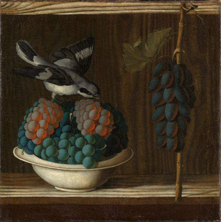 Antonio Leonelli of Crevalcore, *Bowl with Grapes and a Little Bird* (1500–1510; oil on canvas, 39.7 x 39.7 cm; New York, Metropolitan Museum of Art)