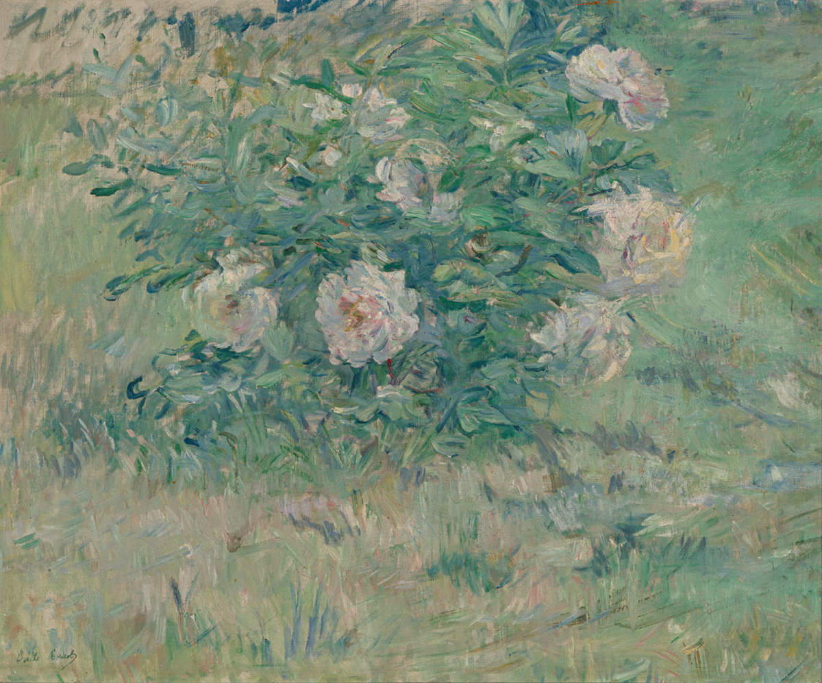 Berthe Morisot, Pivoines (1885 ; huile sur toile, 47 x 57 cm ; Rotterdam, Musée Boijmans Van Beuningen). Photo : Studio Tromp