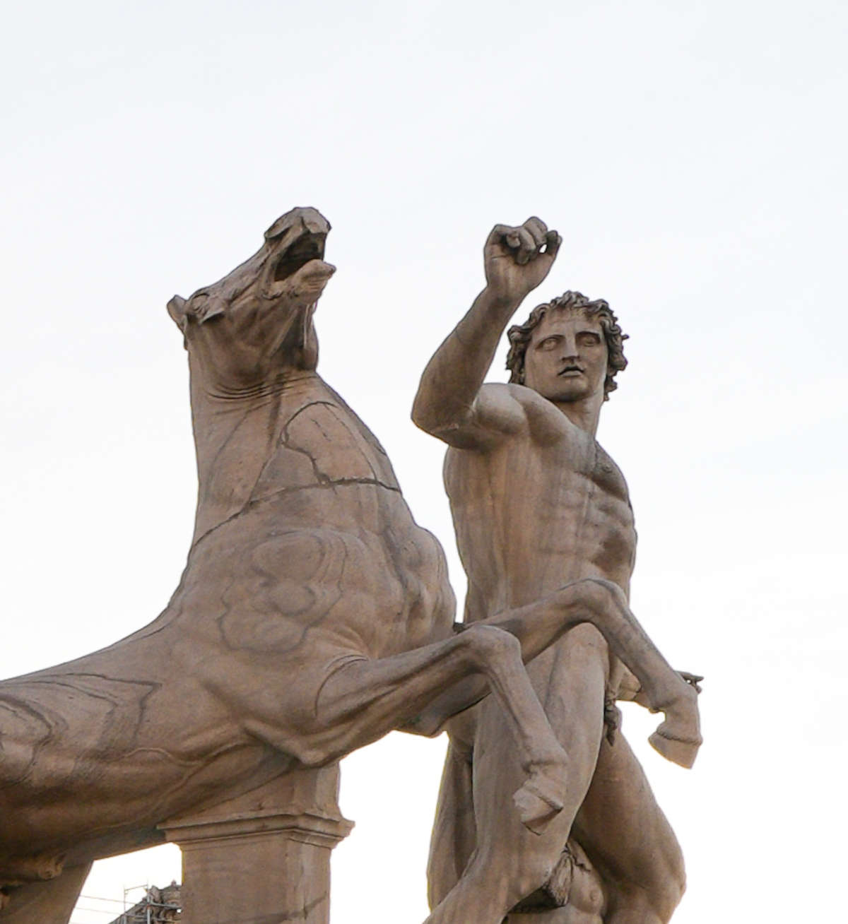 8. Rome, place du Quirinal, les Dioscures du mont Cavallo, détail