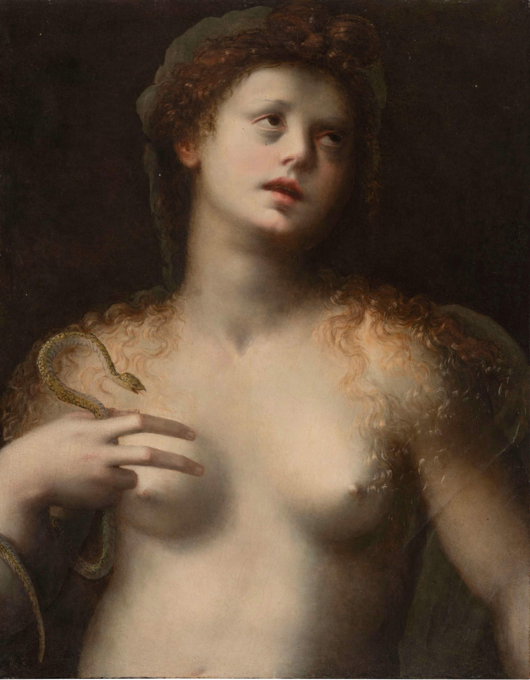 Domenico di Bartolomeo Ubaldini, known as Domenico Puligo, *Cleopatra* (oil on panel, 49 x 63 cm). Presented by: Flavio Gianassi
