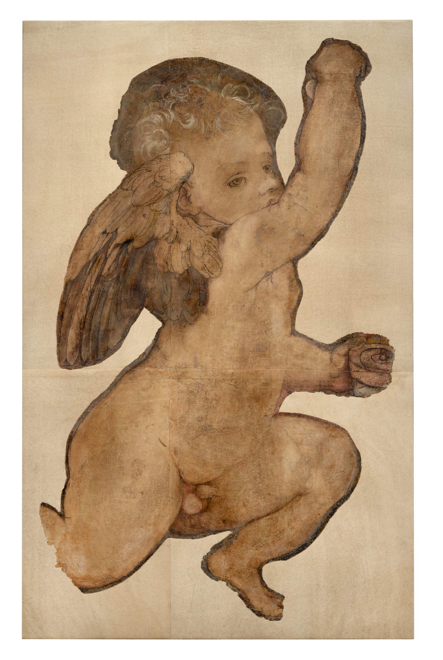 Perin del Vaga, Cupid, Fragment of a preparatory drawing on cardboard for a tapestry from the &ldquo;The thefts of Jupiter&rdquo; series commissioned by Prince Andrea Doria (before 1533; ink, white lead, and tempera on paper, 85 x 53 cm). Presented by: Goldfinch Fine Arts