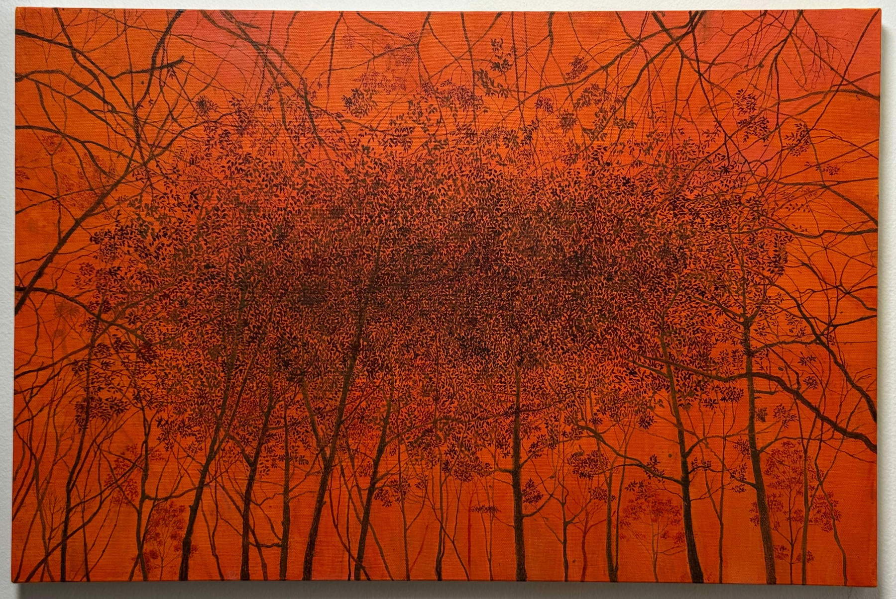 Edison Pashkaj (2025; oil on canvas, 40 x 60 cm)