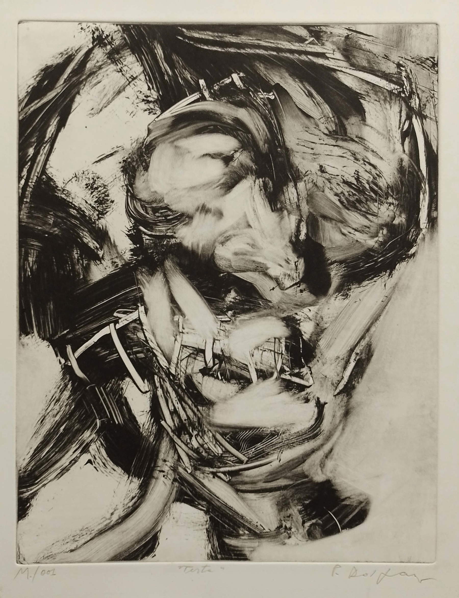 Paolo Dolzan, *Head*, from the series *111 HEADS* (2001; monotype on paper)