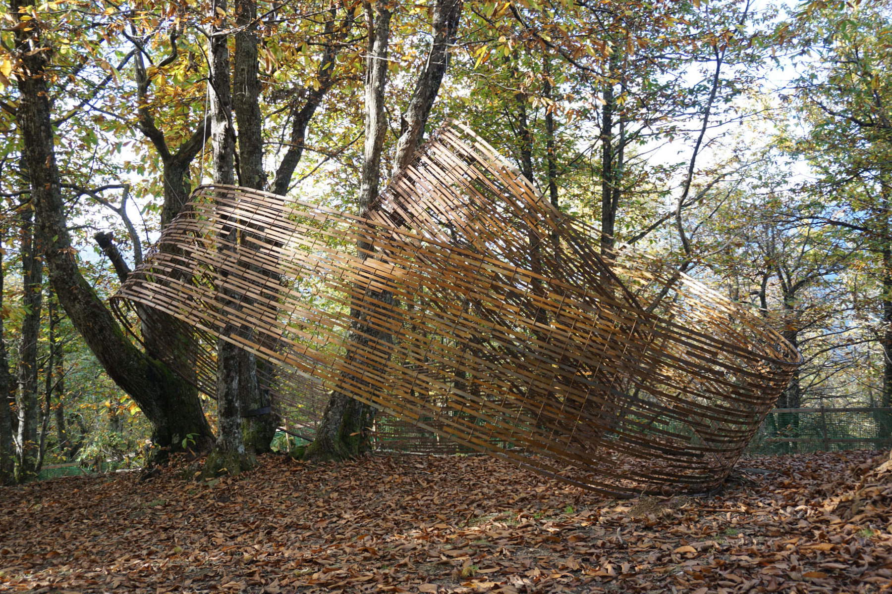 Pabellón Dynamo. Foto: Kengo Kuma &amp; Associates