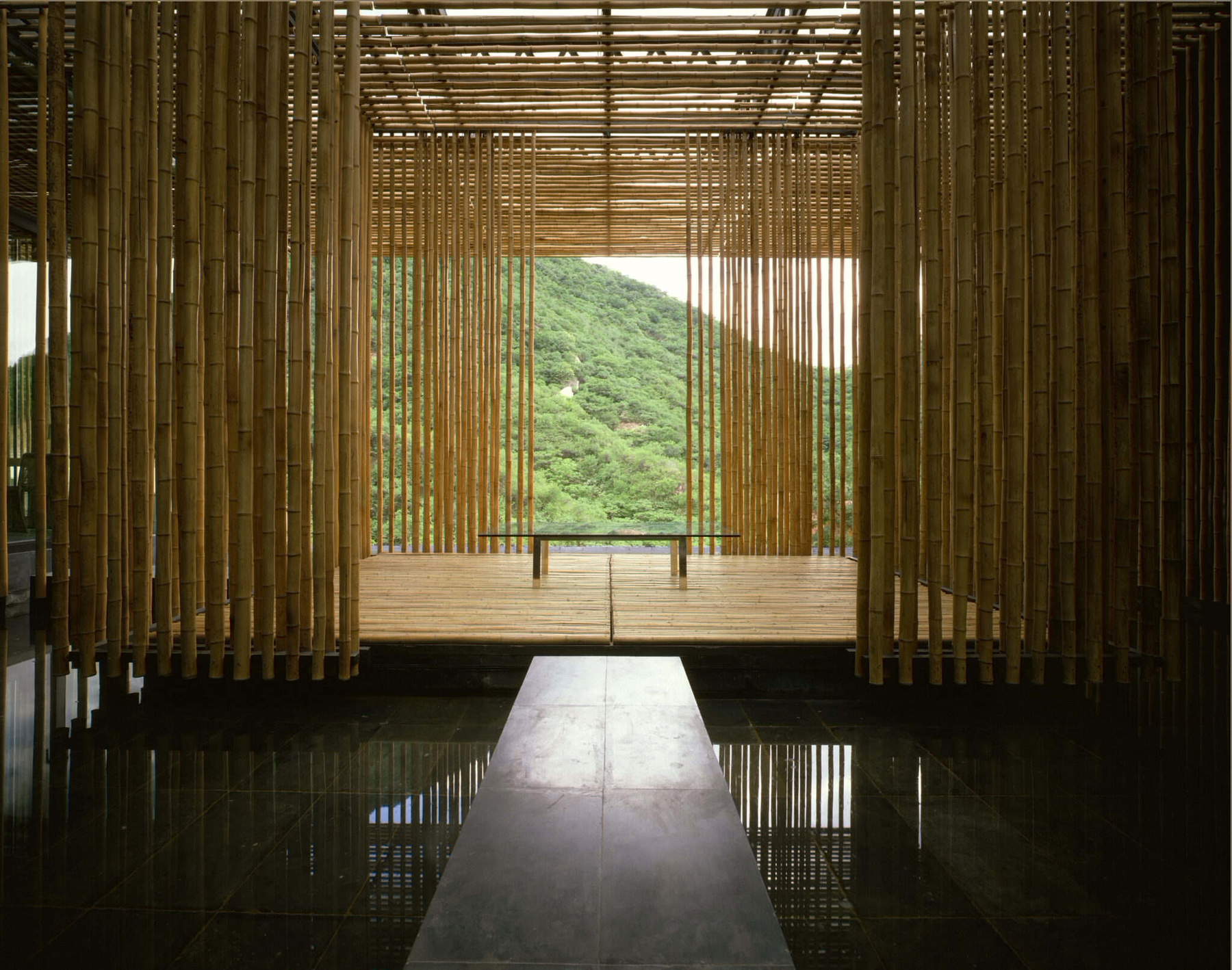 Gran muro de bambú. Foto: Satoshi Asakawa