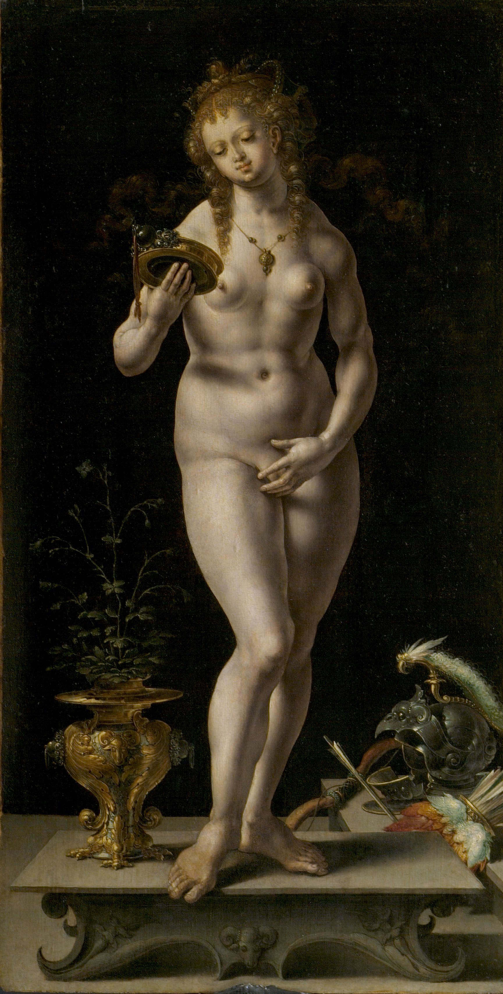 Jan Gossaert, Venus oder Vanitas (um 1521; Öl auf Holz, 60 x 31 cm; Rovigo, Pinacoteca dell&rsquo;Accademia dei Concordi) &copy; Pinacoteca dell&rsquo;Accademia dei Concordi