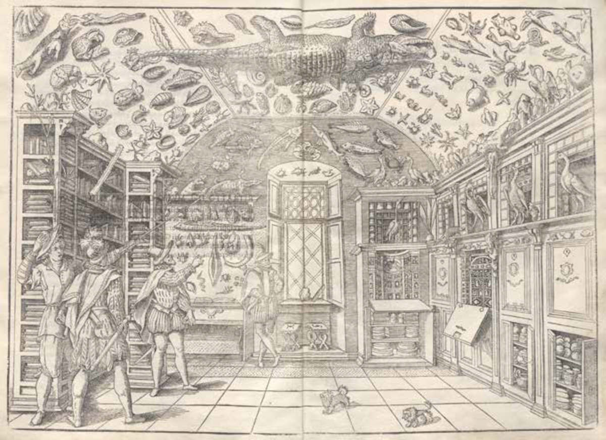 Anonymer Künstler, „Porträt aus dem Museum von Ferrante Imperato“, Stich, in: Ferrante Imperato, *Historia naturale* (Neapel, 1599; Mantua, Biblioteca Teresiana, Sammlung TER H.III.35)