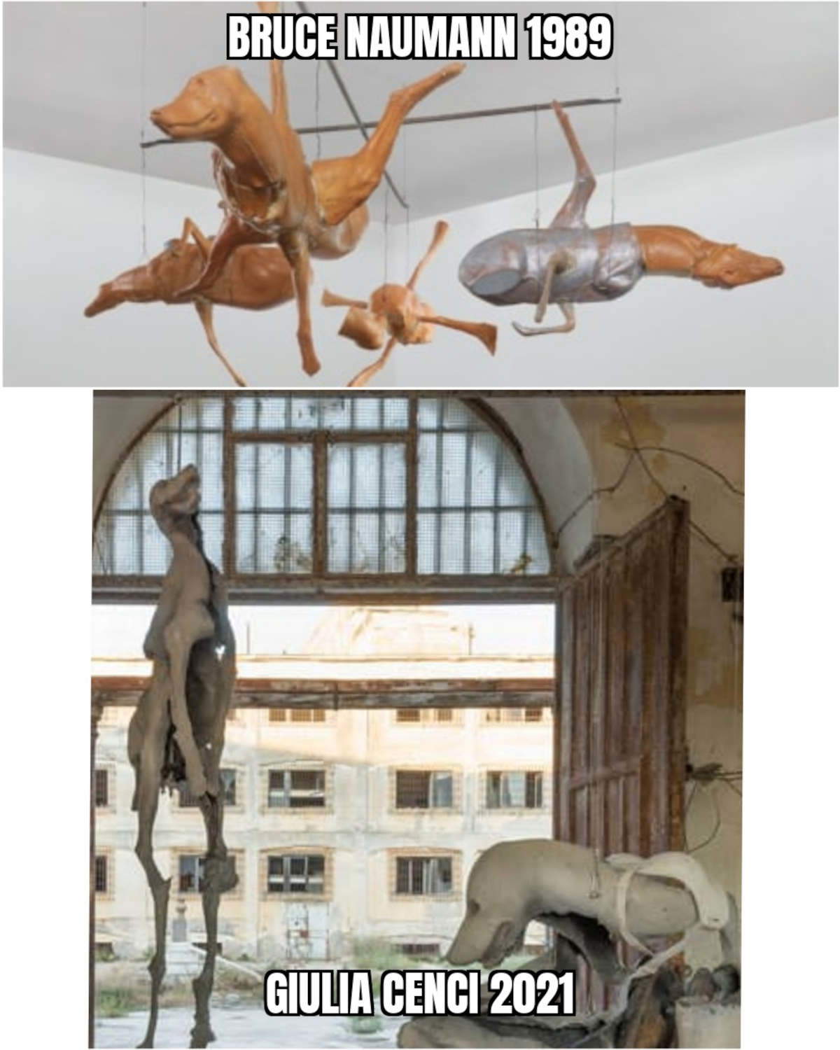 Giulia Cenci vs. Bruce Nauman