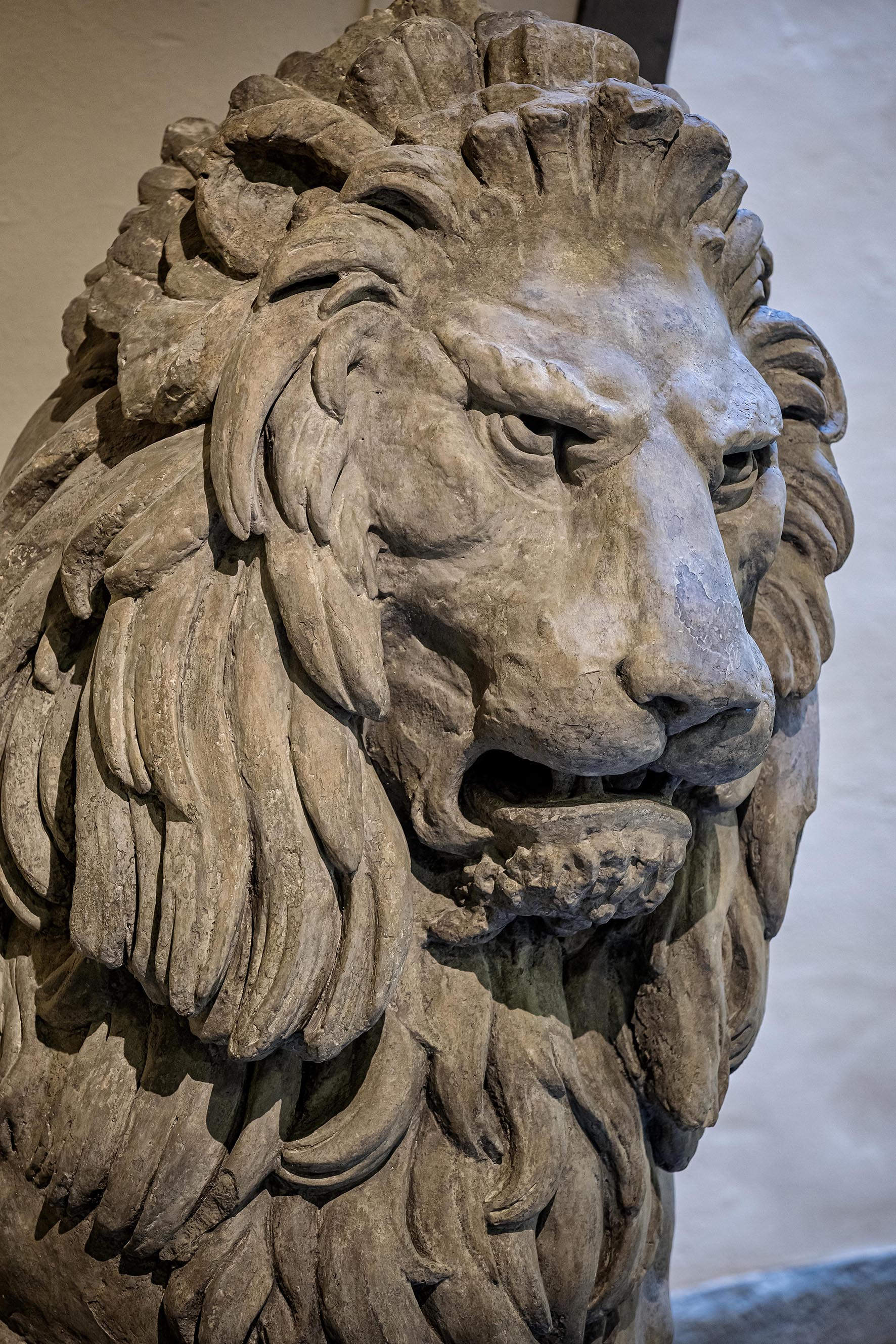Palazzo Vecchio Cortile della Dogana - Fonte dei Leoni restaurata lato via della Ninna, Leone particolare. Foto: Mario Lanini
