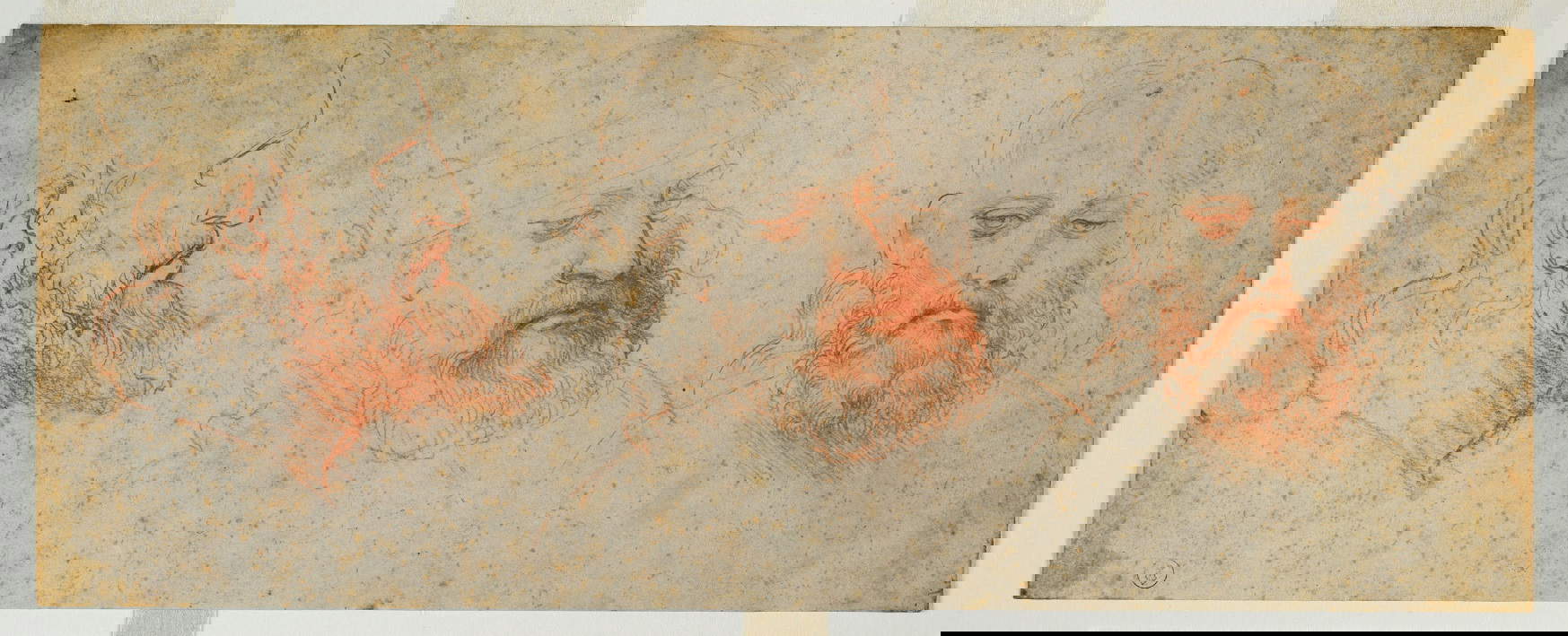 Drei Ansichten eines männlichen Kopfes mit Bart, um 1502, roter Stein auf Papier, 110 x 283 mm, Inv. 15573 A.D.