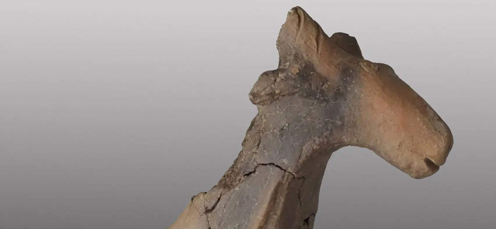 Terracotta winglets with zoomorphic depictions discovered in Padua 