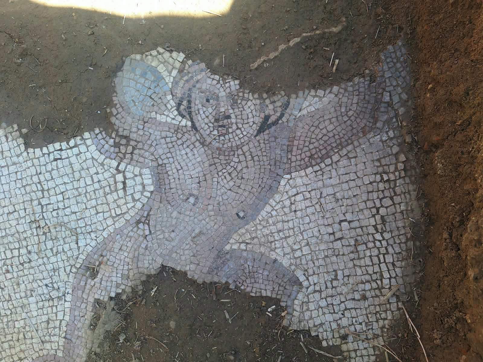 Floors decorated with polychrome mosaics, human figures, and geometric patterns. Photo: &copy; Facebook Profile - Vjosa - National Park