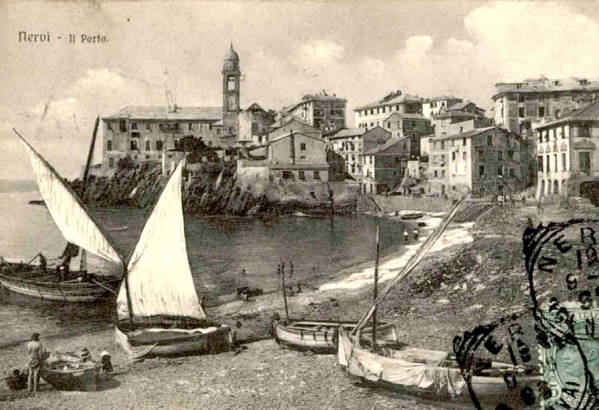 Nervi