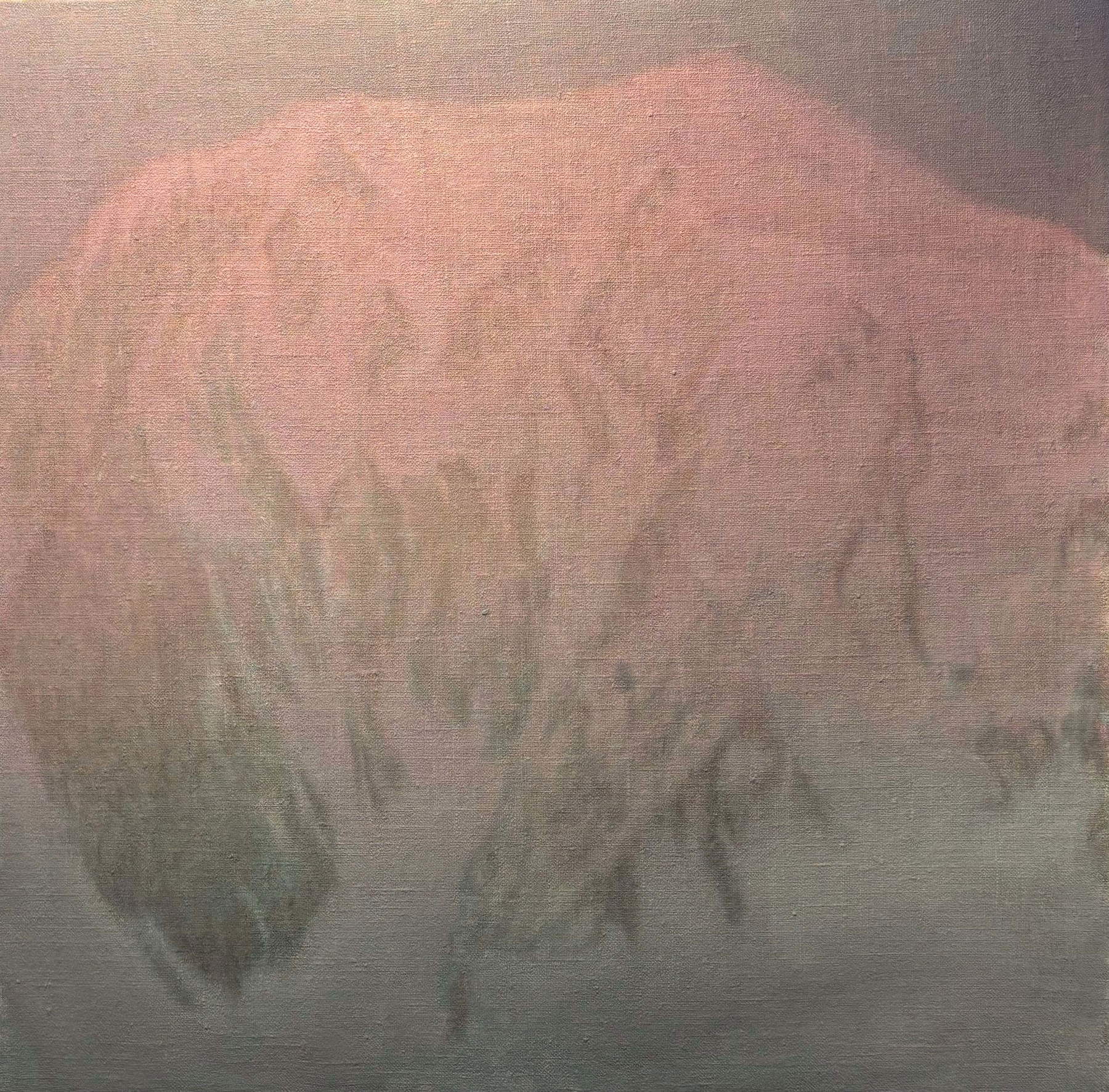 Alessio Nebbia, Amanecer en el Mont Blanc (óleo, 100 x 100 cm)