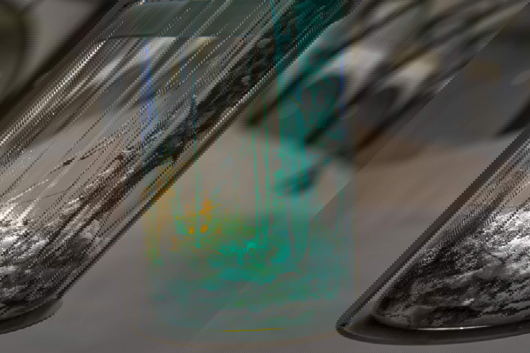 Alexandra Pirici, Attune (2024 ; vue de l'installation, Hamburger Bahnhof Nationalgalerie der Gegenwart). Photo par Eduard Constantin