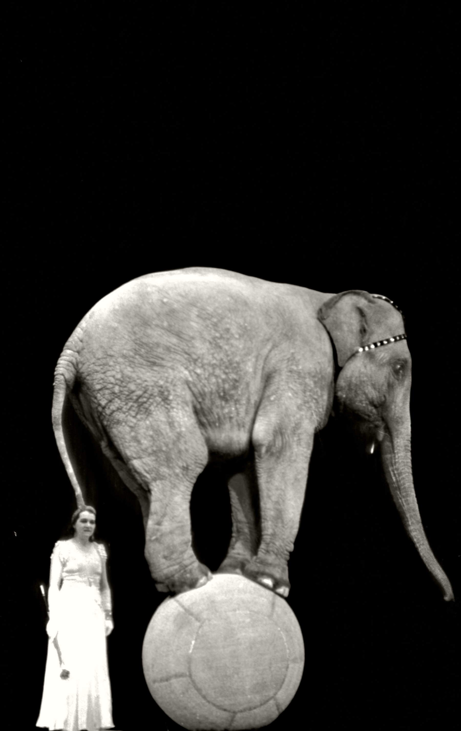 Alfred Eisenstaedt, Zirkus (Europa, 1930er Jahre) &copy; Alfred Eisenstaedt / The LIFE Picture Collection / Shutterstock