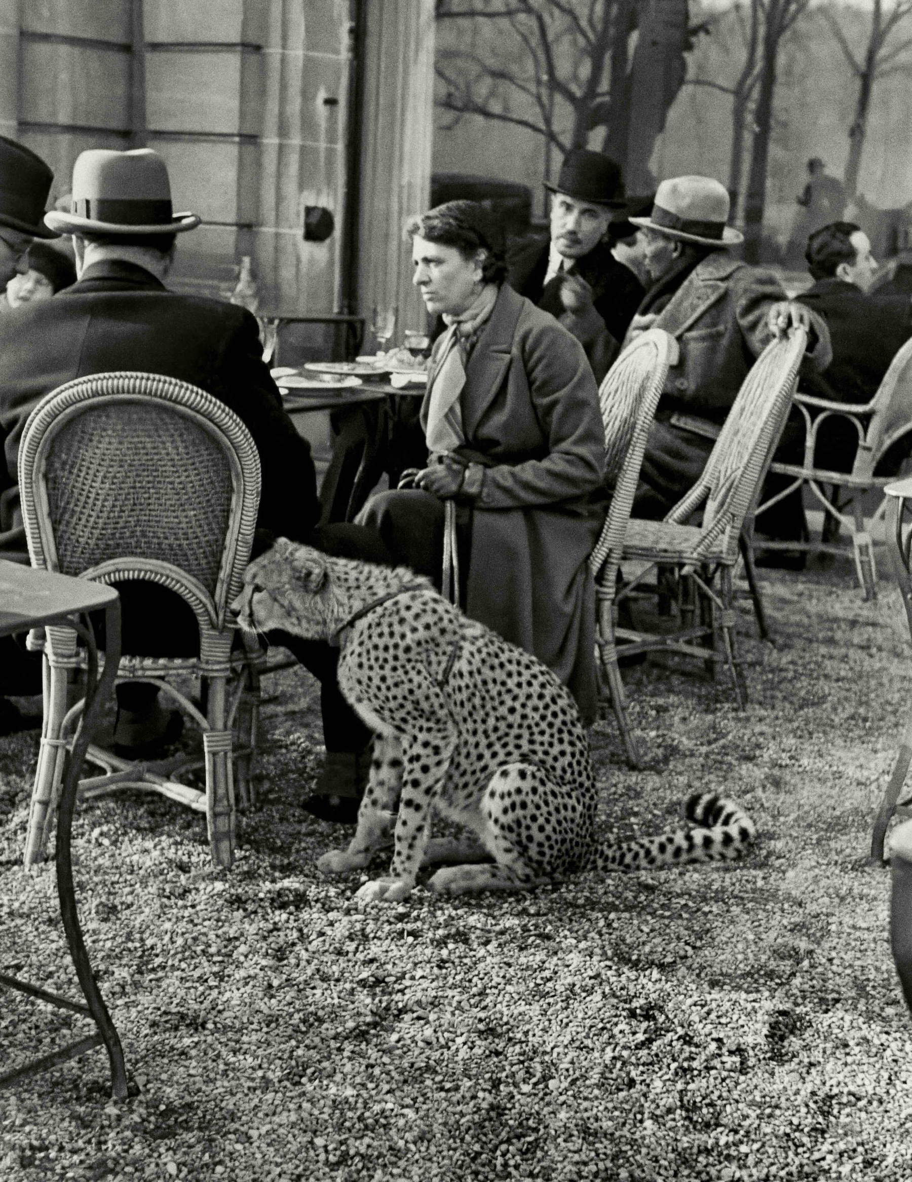 Alfred Eisenstaedt, Frau, die mit ihrem Hausgeparden beim Tee im Café „Bois de Boulogne“ sitzt (Paris, 1932) &copy; Alfred Eisenstaedt / The LIFE Picture Collection / Shutterstock