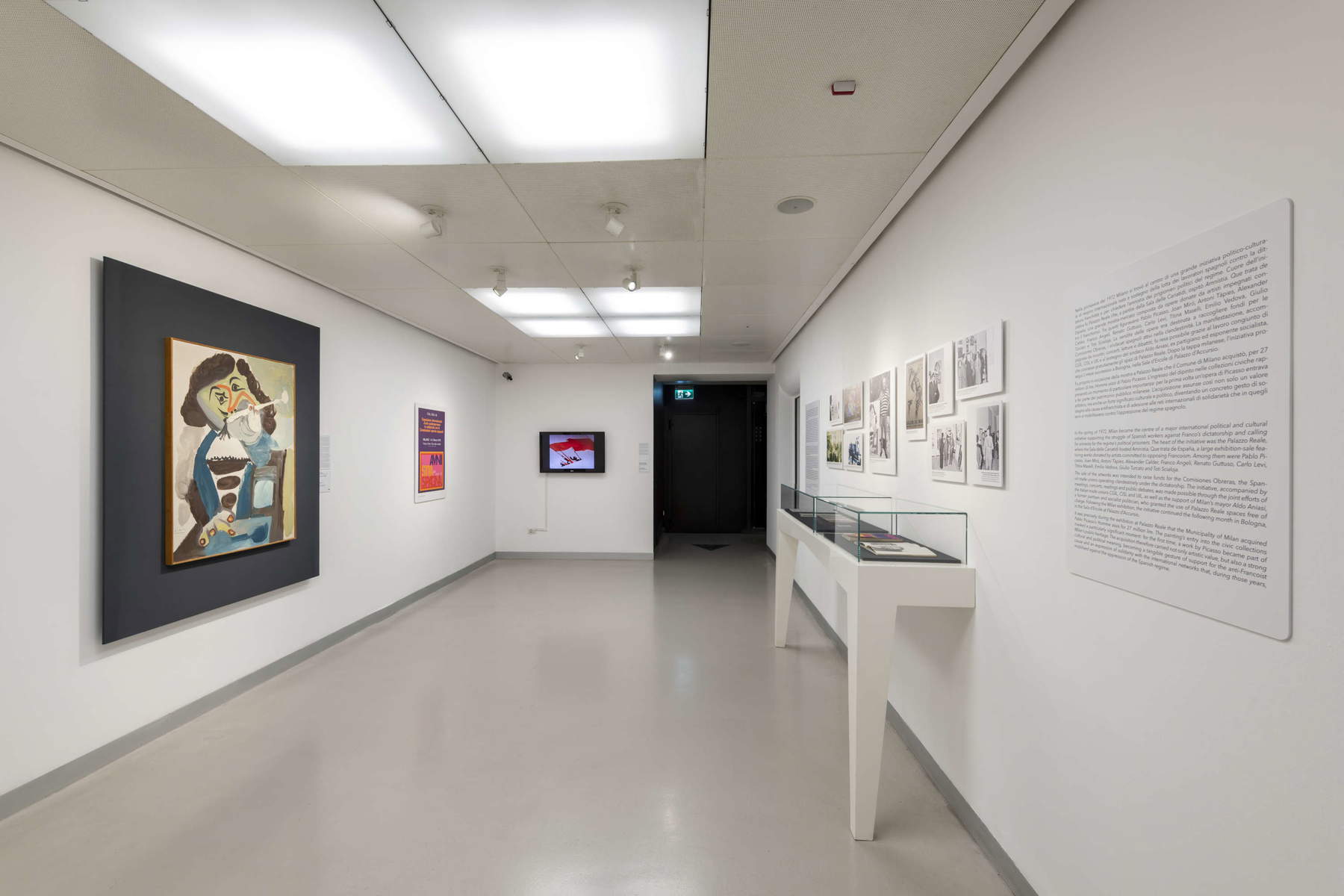 Allestimenti della mostra