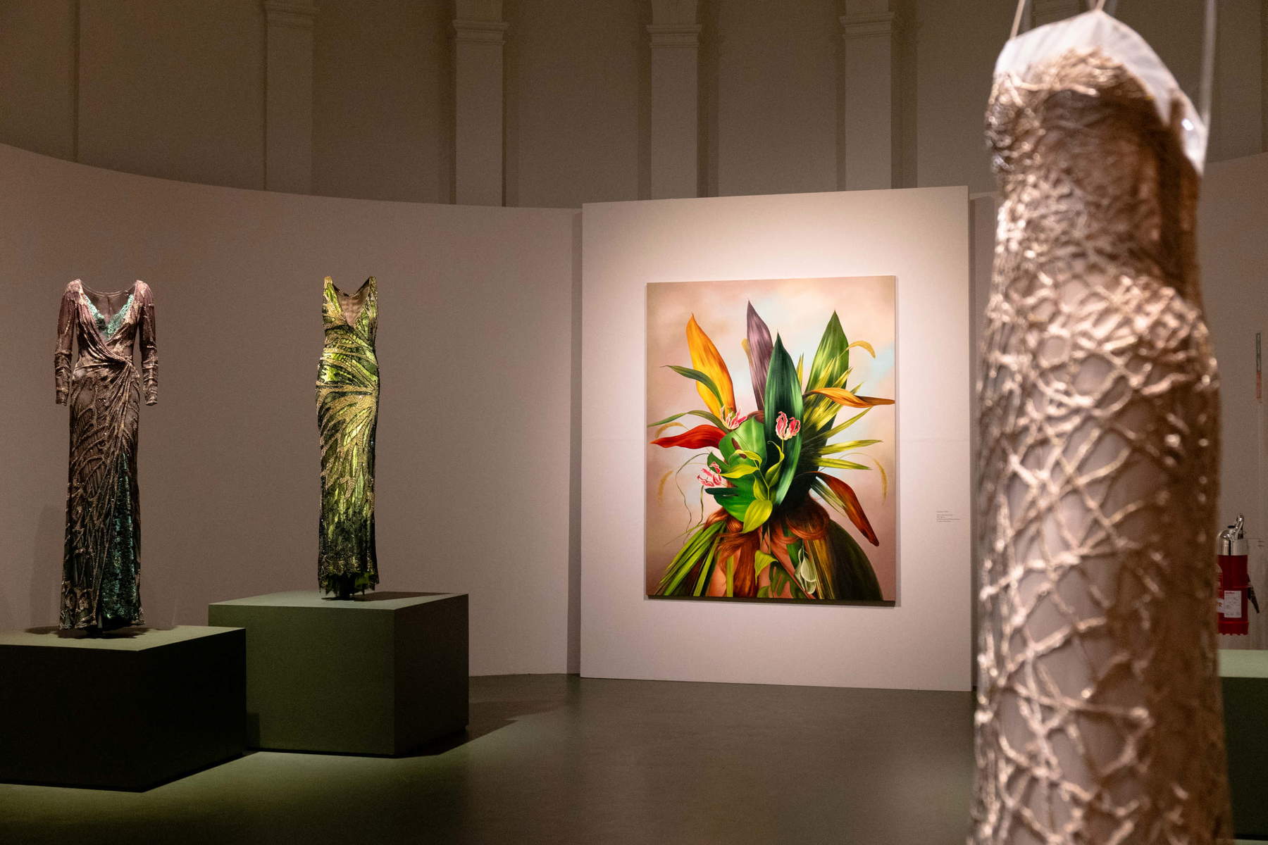 Allestimenti della mostra
