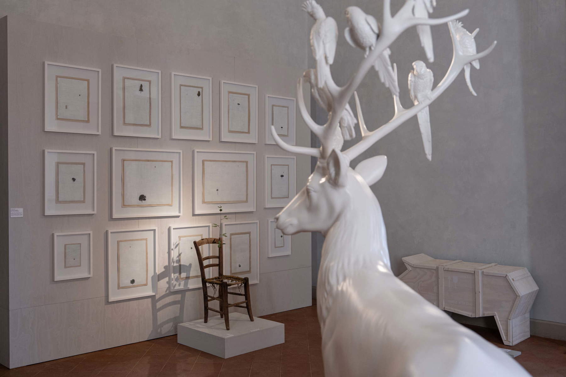 Ausstellungsgestaltung