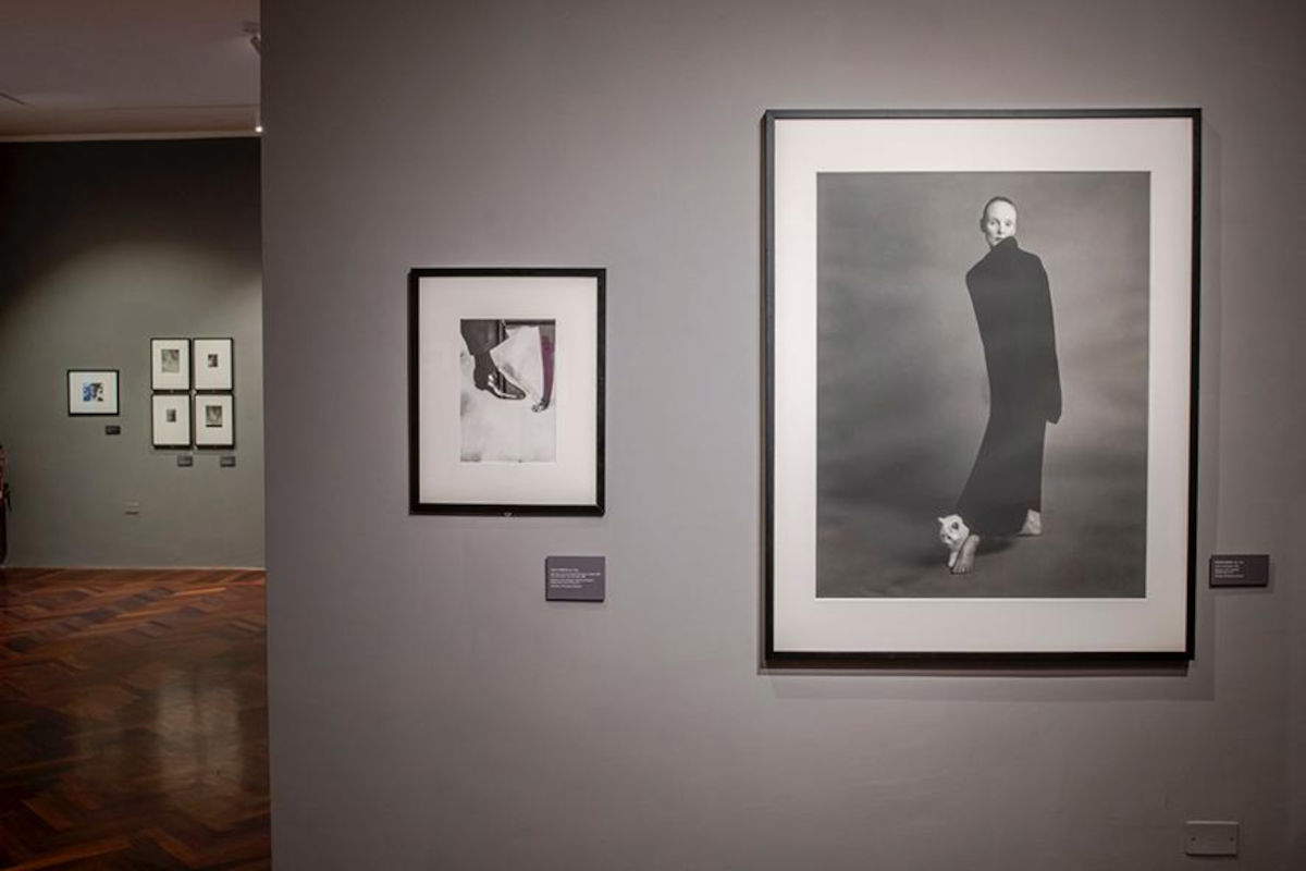 Installationsansicht der Ausstellung Fotosintesi. Fotografien aus der Sammlung Carla Sozzani, im Zentrum für moderne und zeitgenössische Kunst in La Spezia