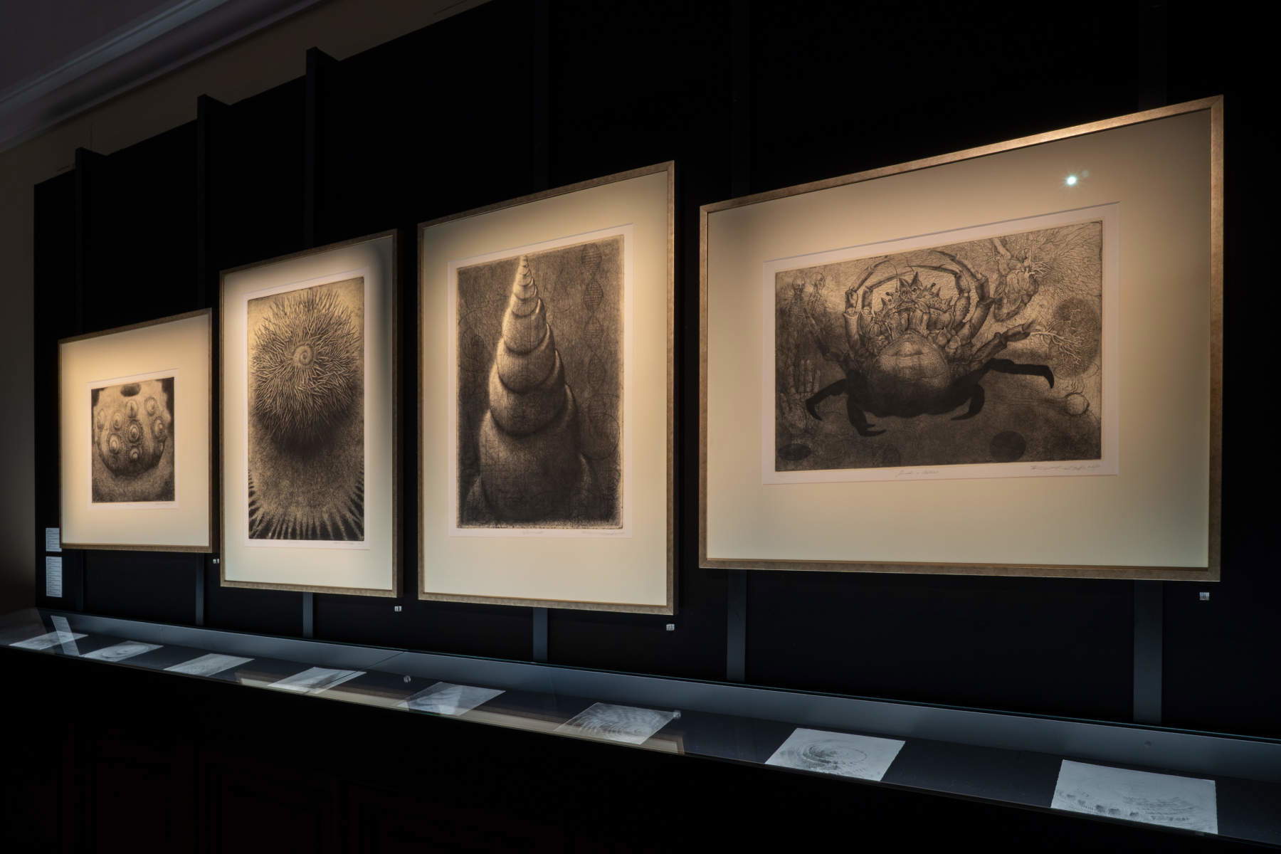 Blick in die Ausstellung „Katastrophe und Wunder &ndash; AQVA, Wunderkammer“. Foto: Olivia Rainaldi