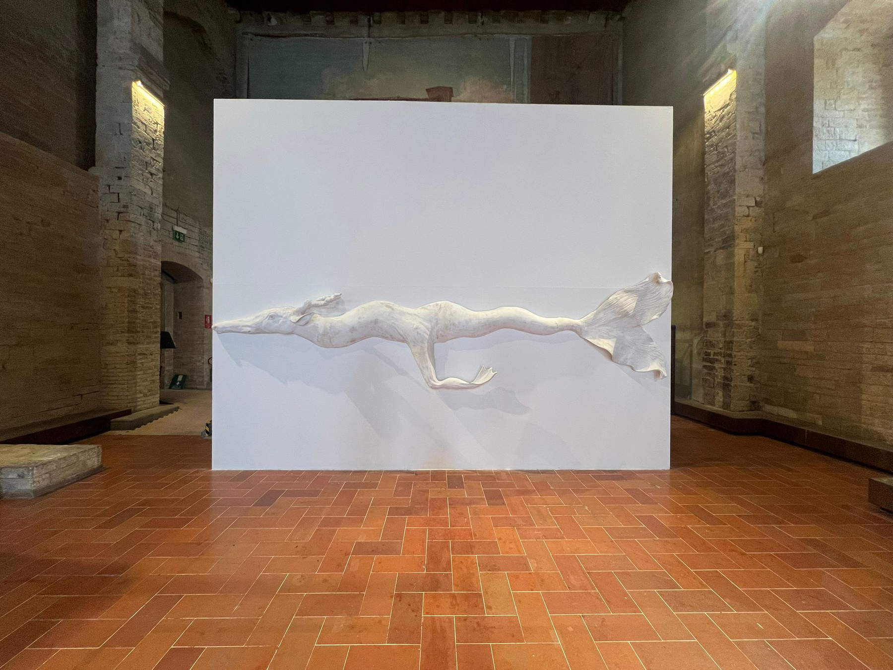 Allestimento della mostra Mutazioni al Palazzo del Capitano. Foto: Francesca Bisogni