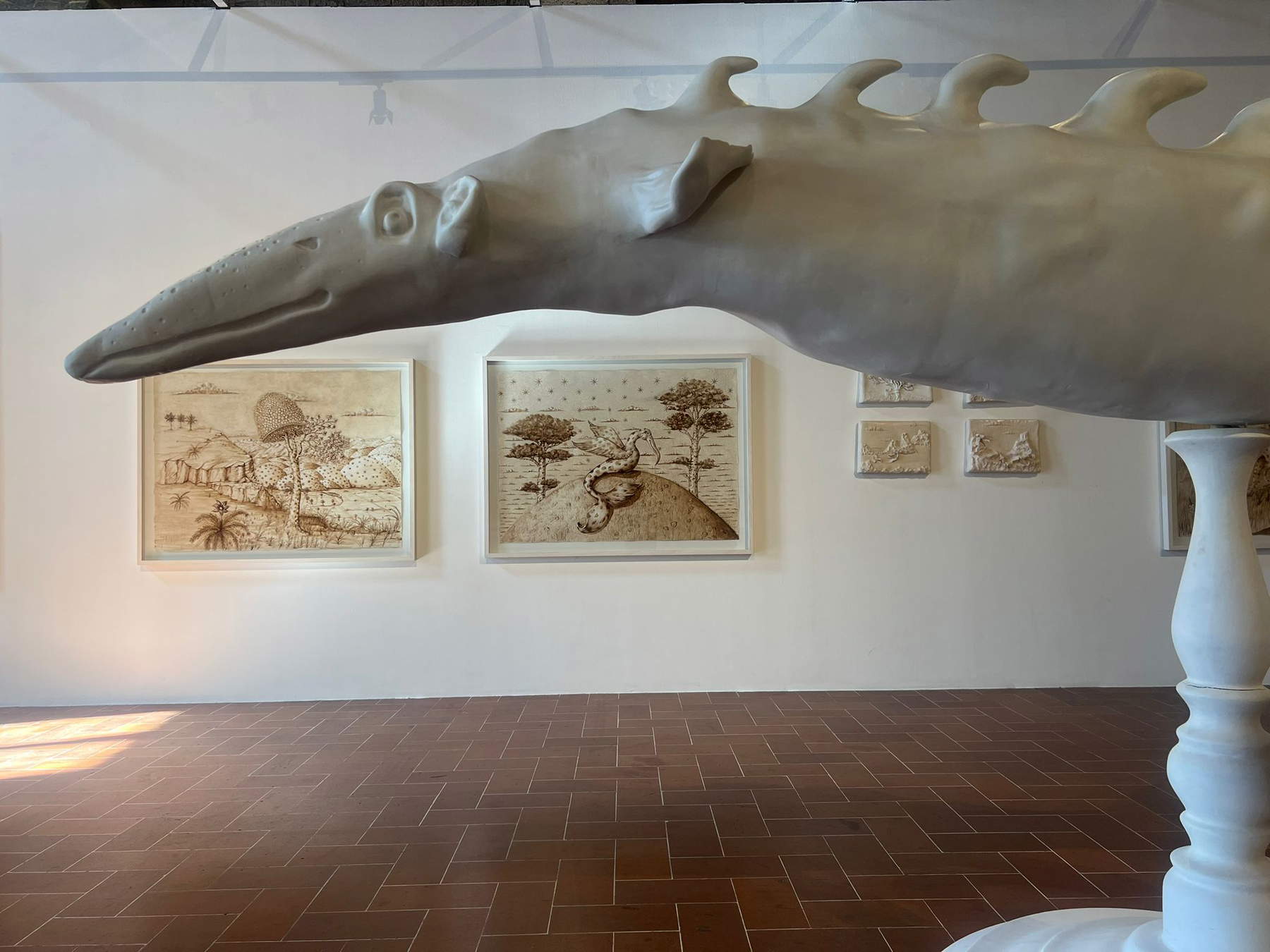 Allestimento della mostra Mutazioni al Palazzo del Capitano. Foto: Francesca Bisogni