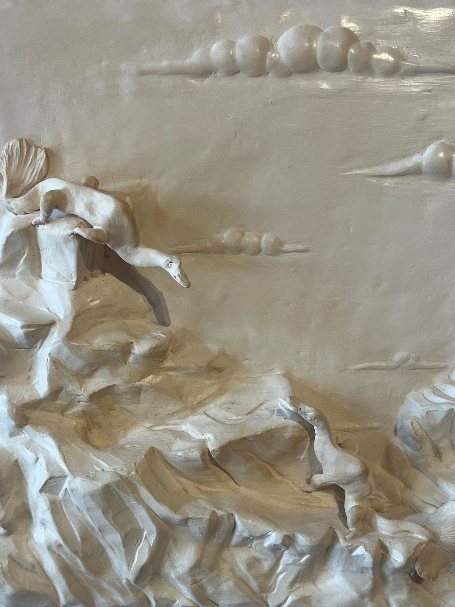 Allestimento della mostra Mutazioni al Palazzo del Capitano. Foto: Francesca Bisogni