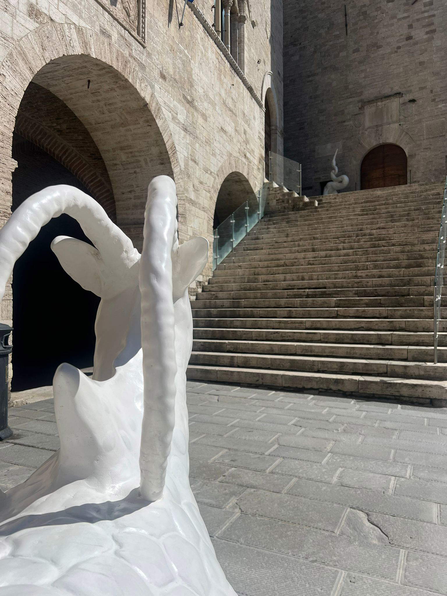 Allestimento della mostra Mutazioni al Palazzo del Capitano. Foto: Francesca Bisogni
