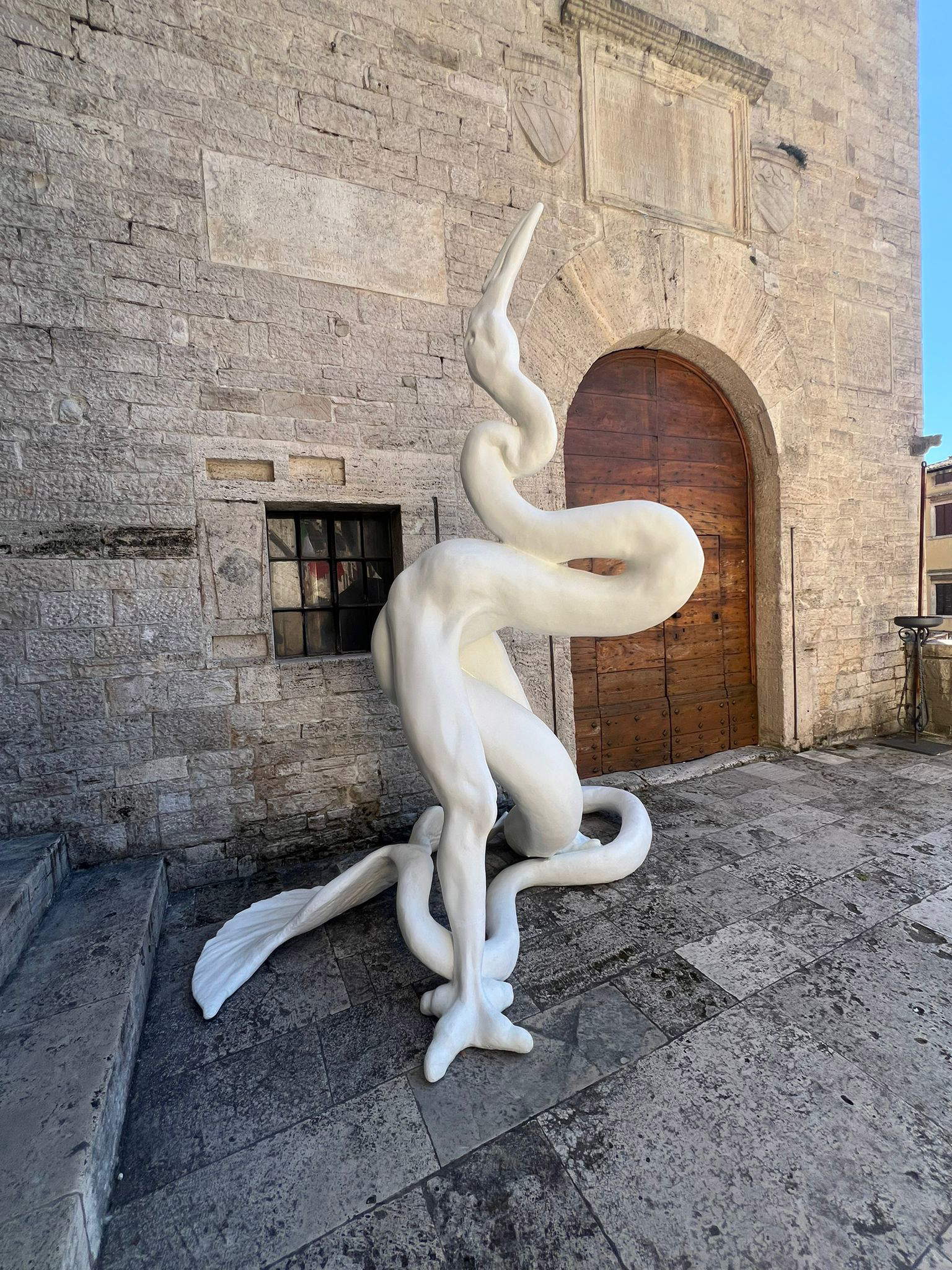 Allestimento della mostra Mutazioni al Palazzo del Capitano. Foto: Francesca Bisogni