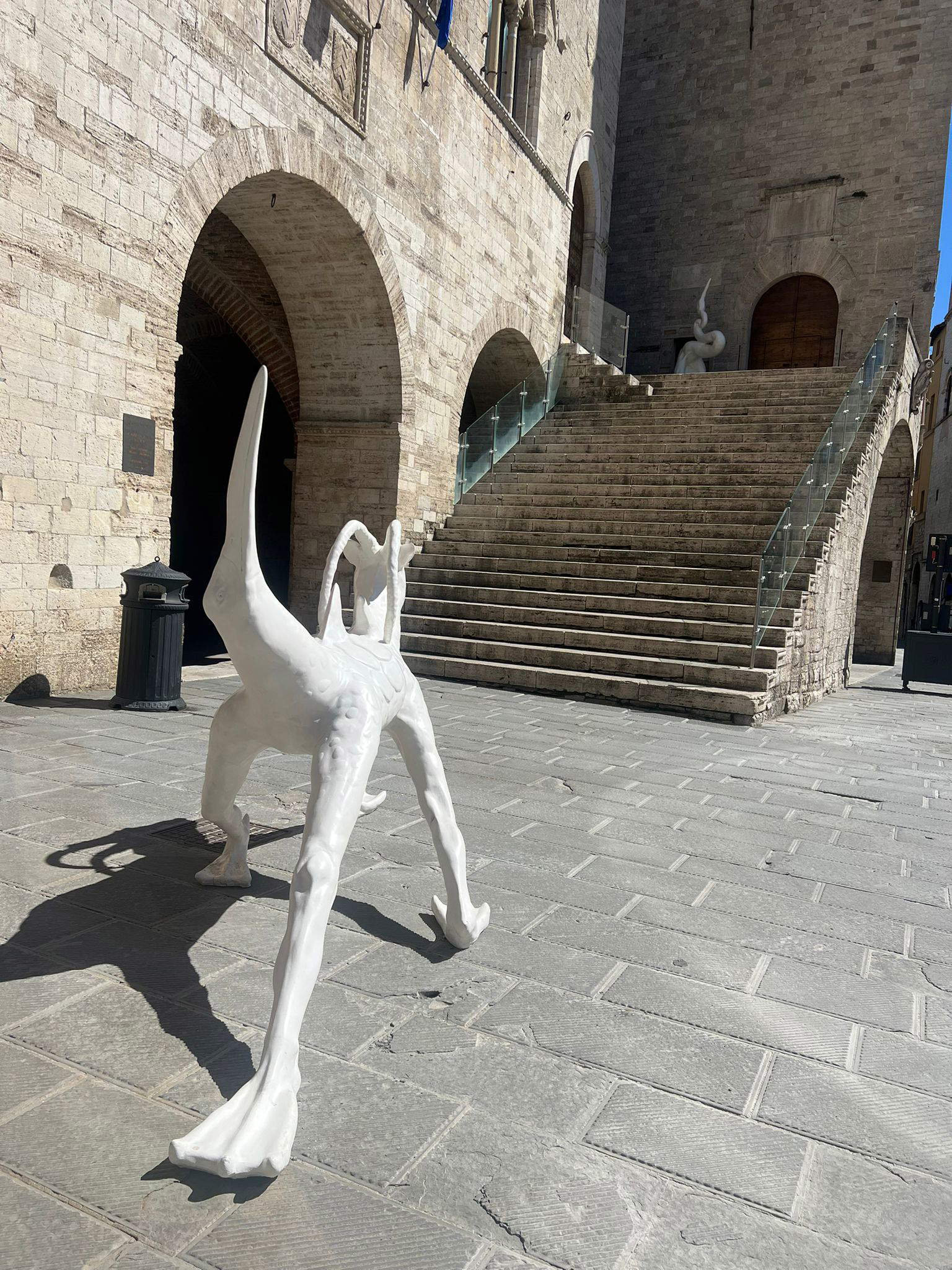 Allestimento della mostra Mutazioni al Palazzo del Capitano. Foto: Francesca Bisogni