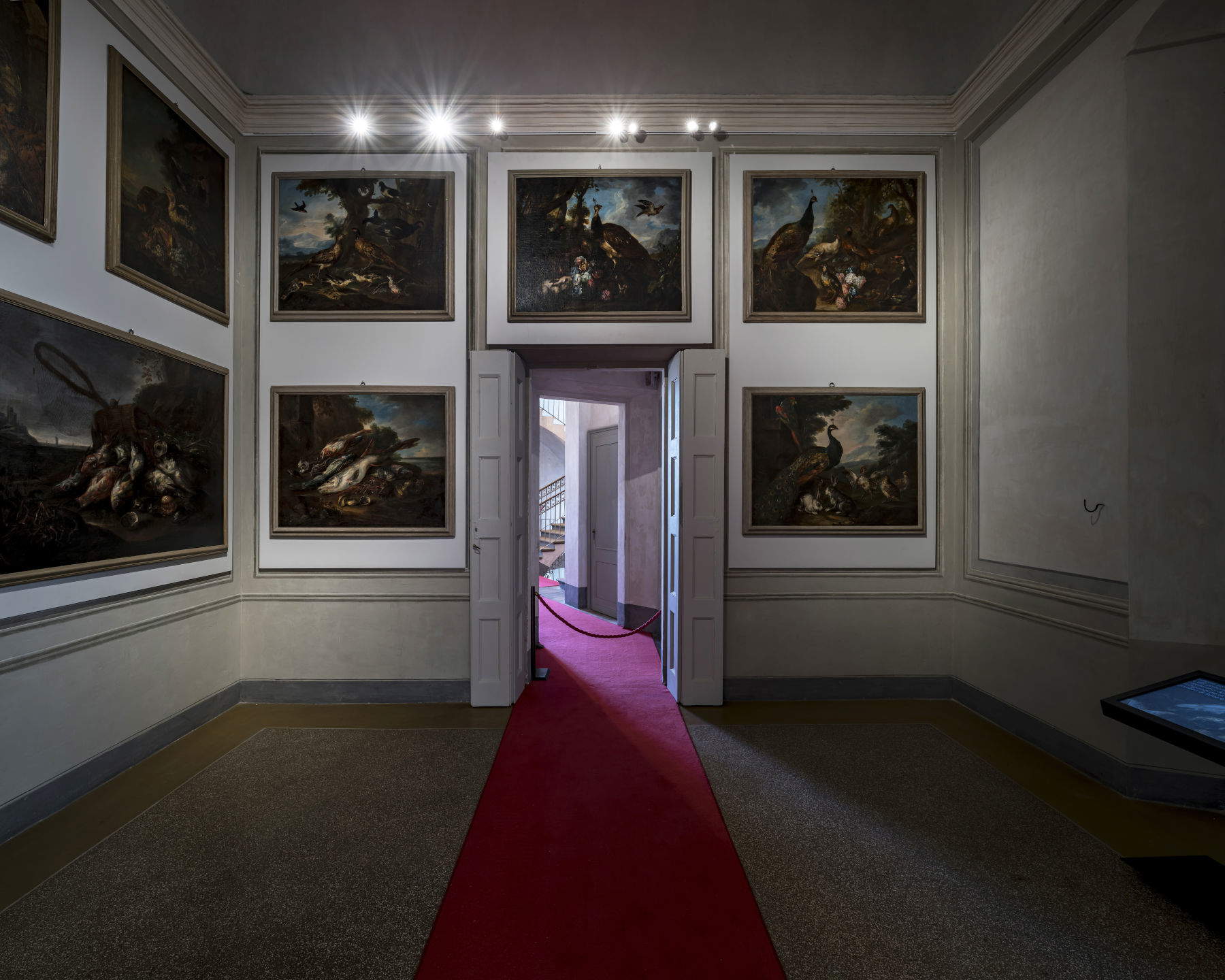 Installationsansicht von Sala Crivelli. Foto: Mariano Dallago