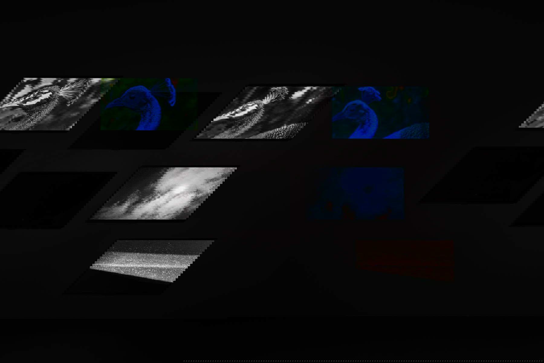 Amar Kanwar, Der Friedhof des Pfaus (2023; Sammlung Pinault). Installationsansicht der Ausstellung Amar Kanwar. Mitreisende (2026). Foto: Studio Marco Cappelletti &copy; Palazzo Grassi, Sammlung Pinault.